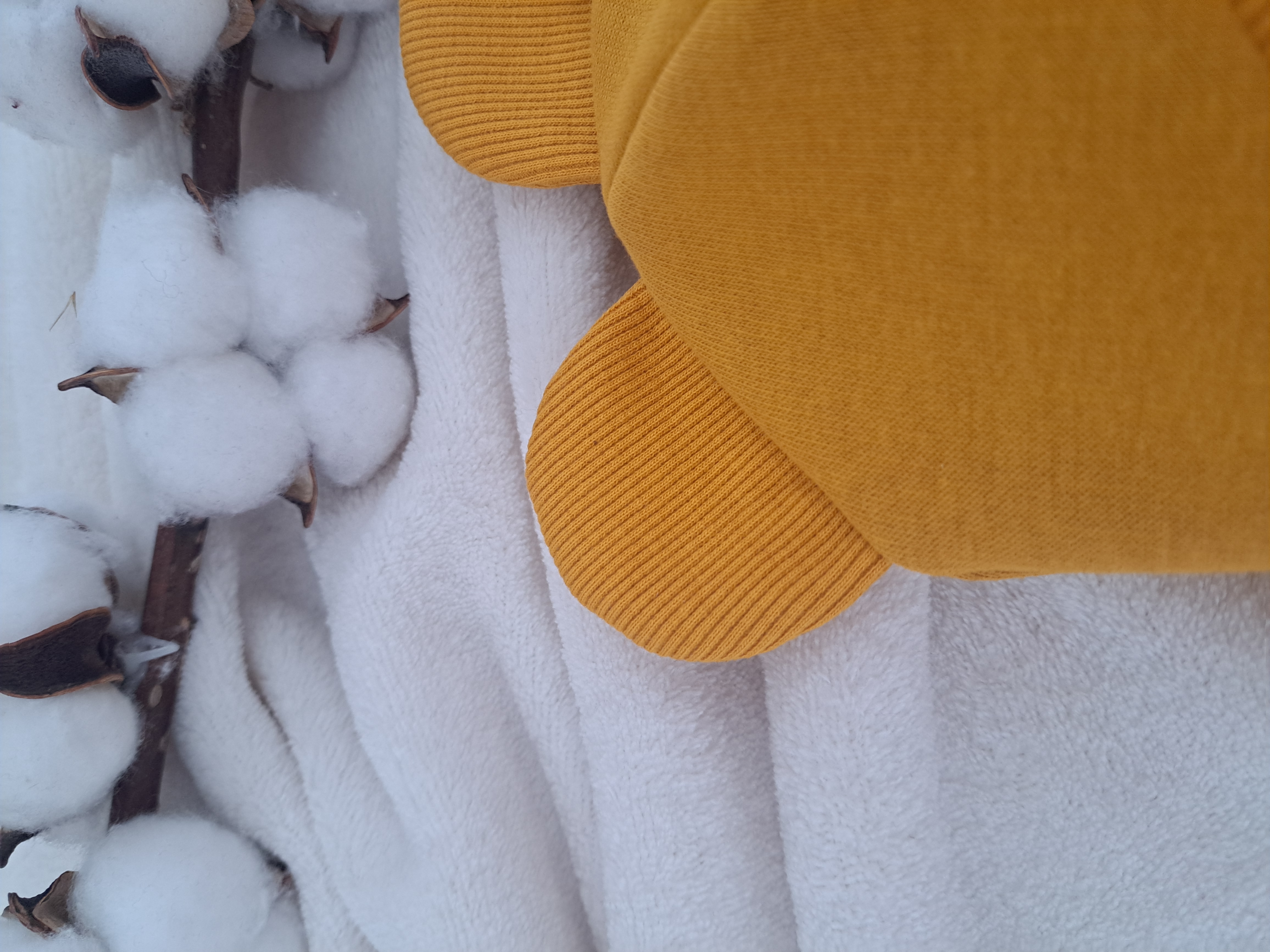 Žieminis šalmukas, Garstyčių