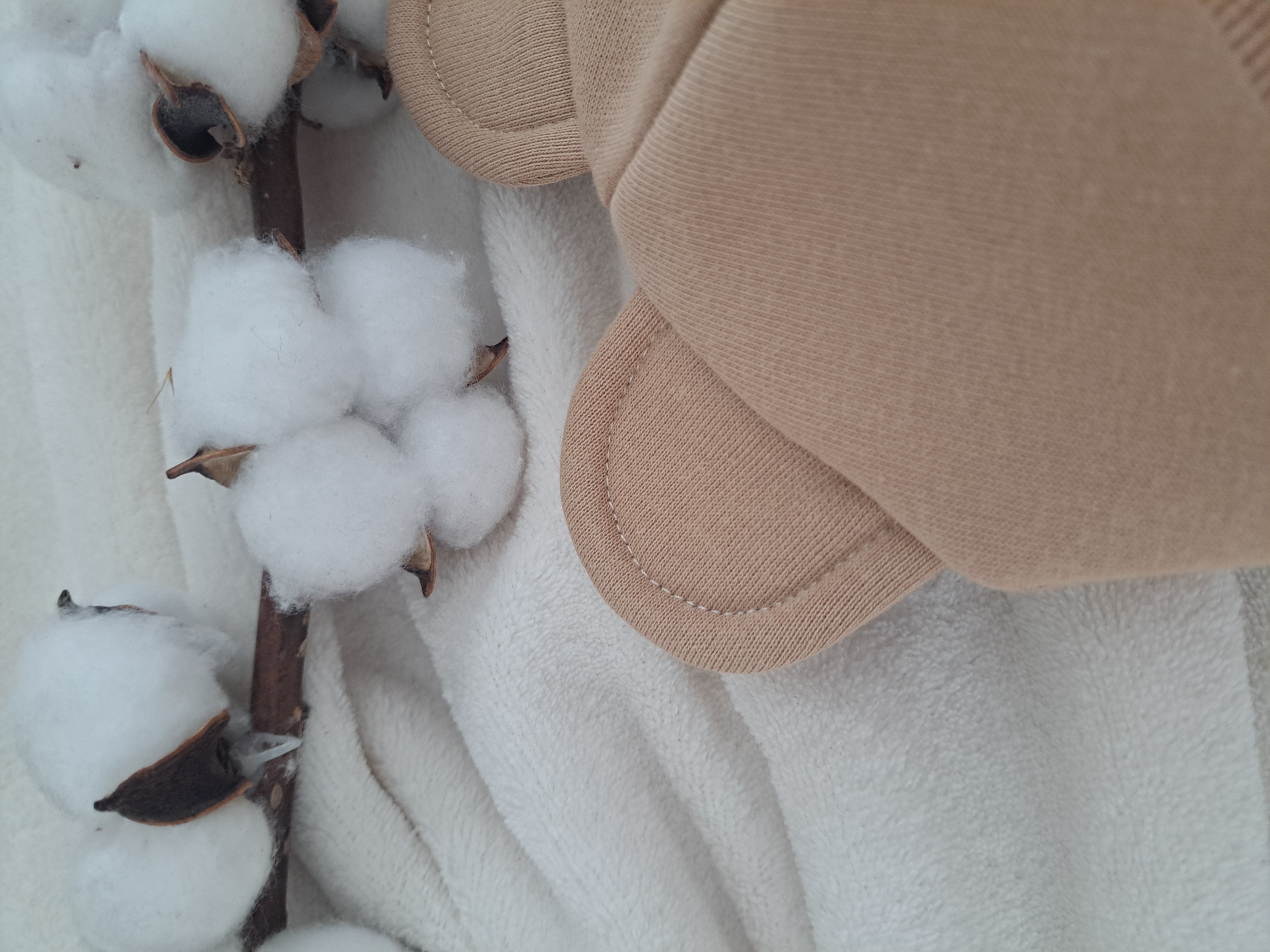 Žieminis šalmukas, Kreminis 2