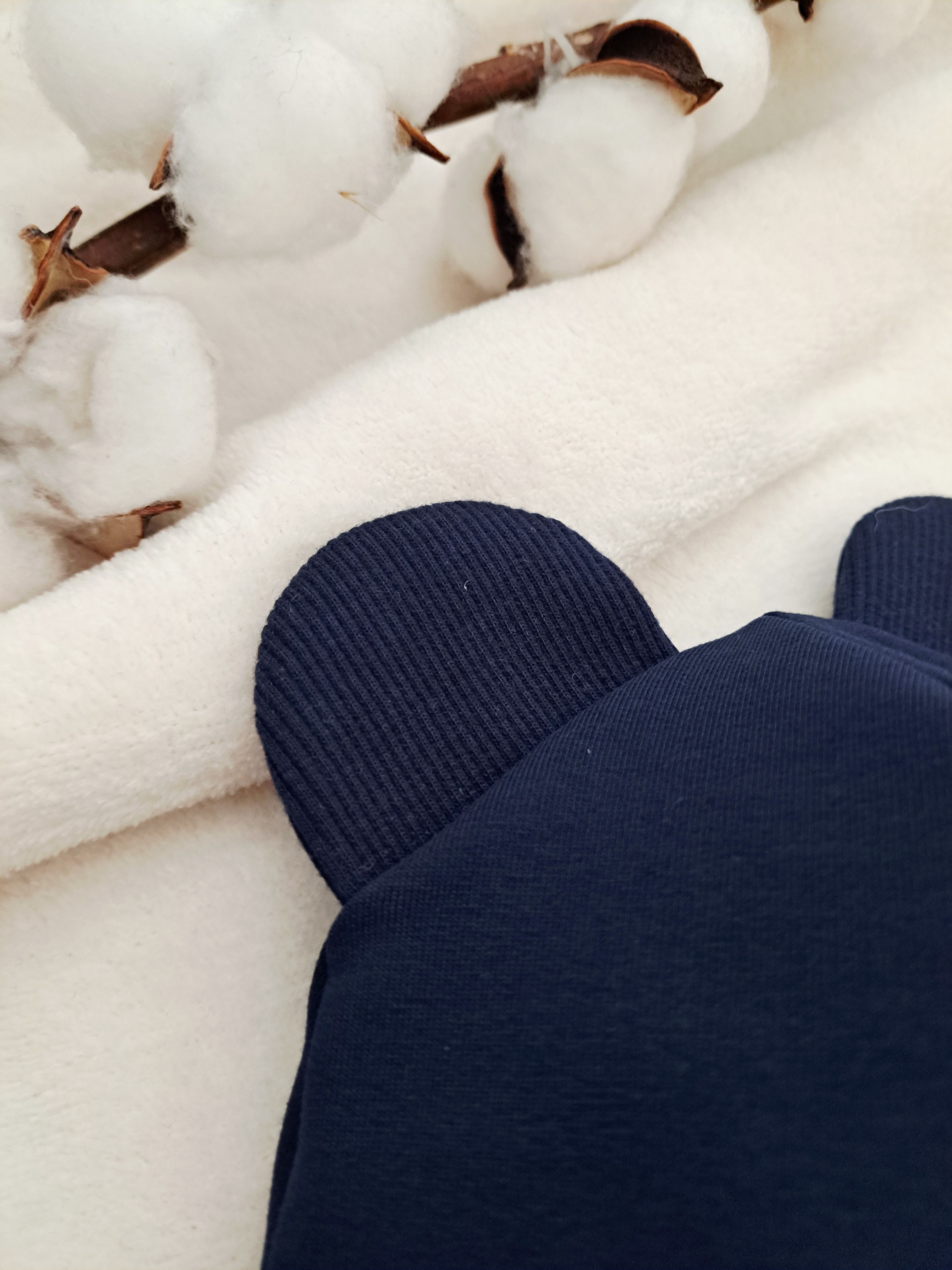 Pavasarinis šalmukas, Navy