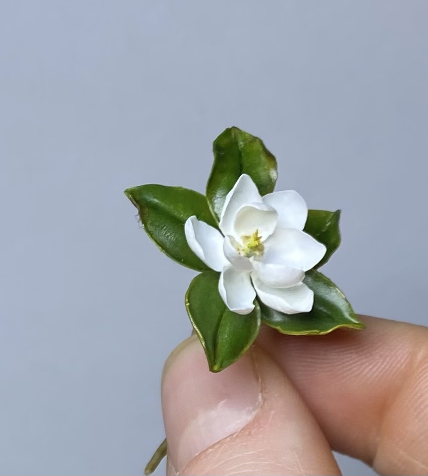 White magnolia - TO ORDER