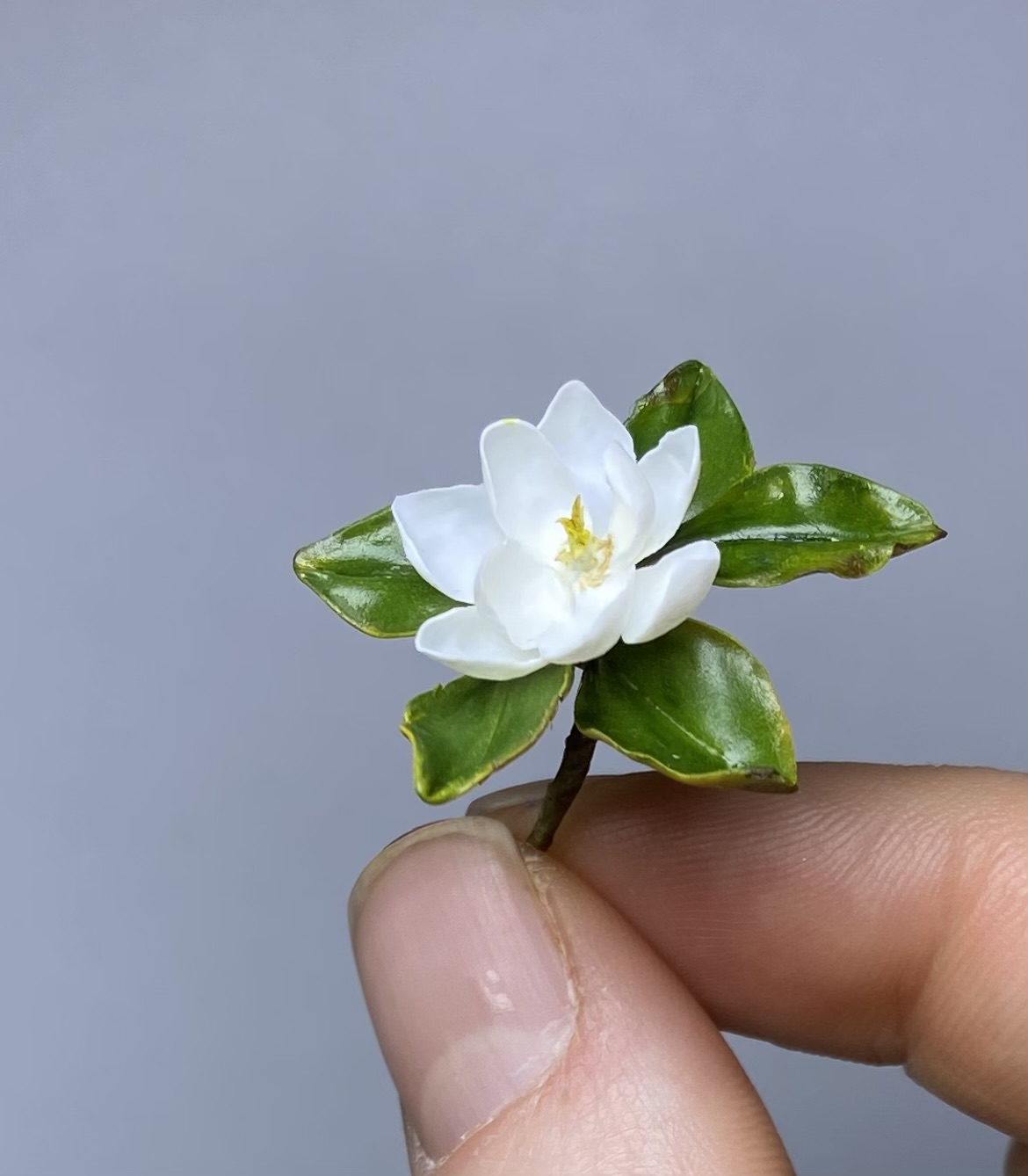 White magnolia - TO ORDER