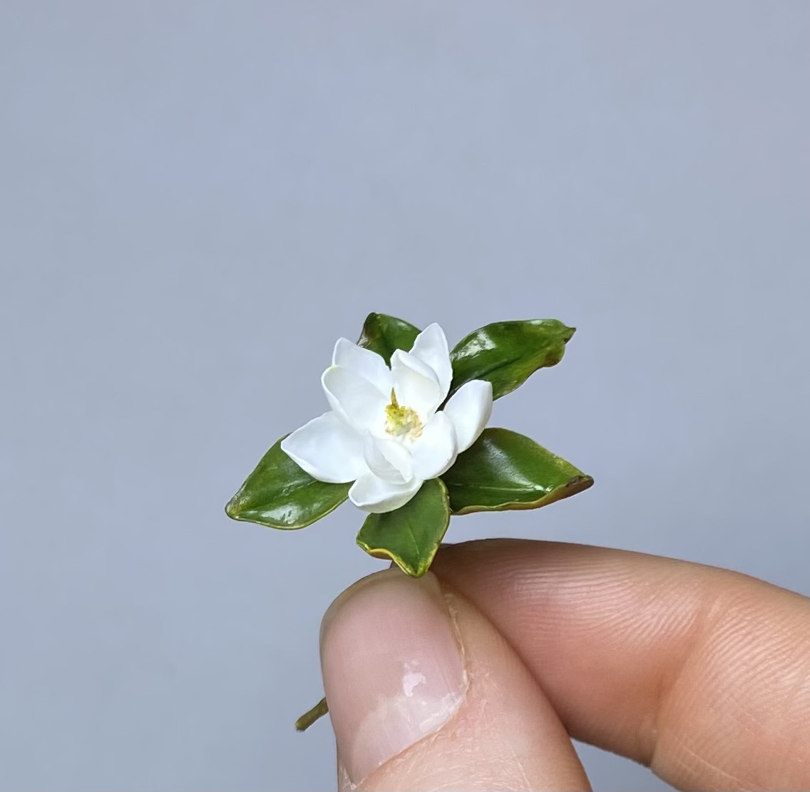 White magnolia - TO ORDER