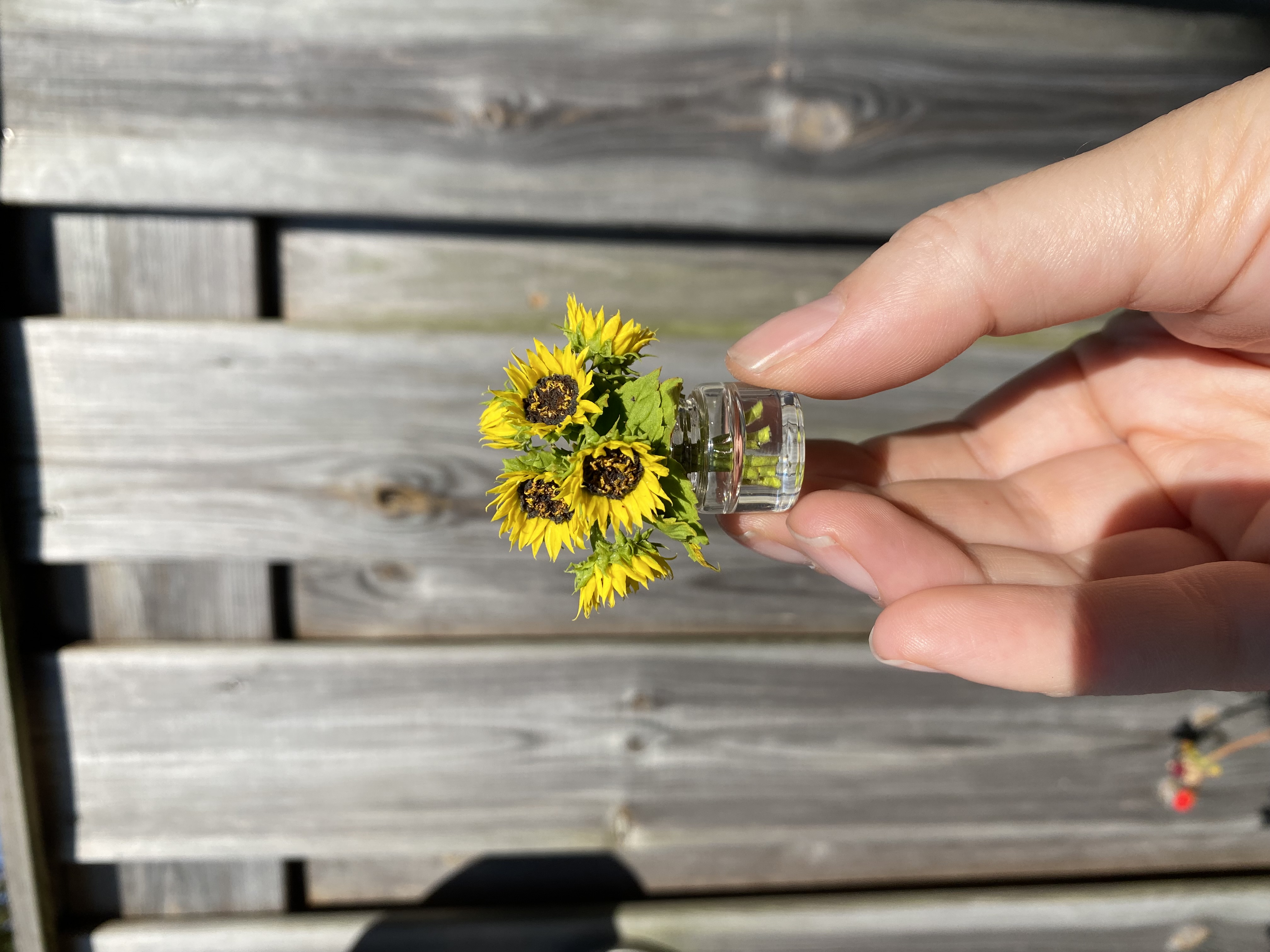 sunflowers en vase - TO ORDER