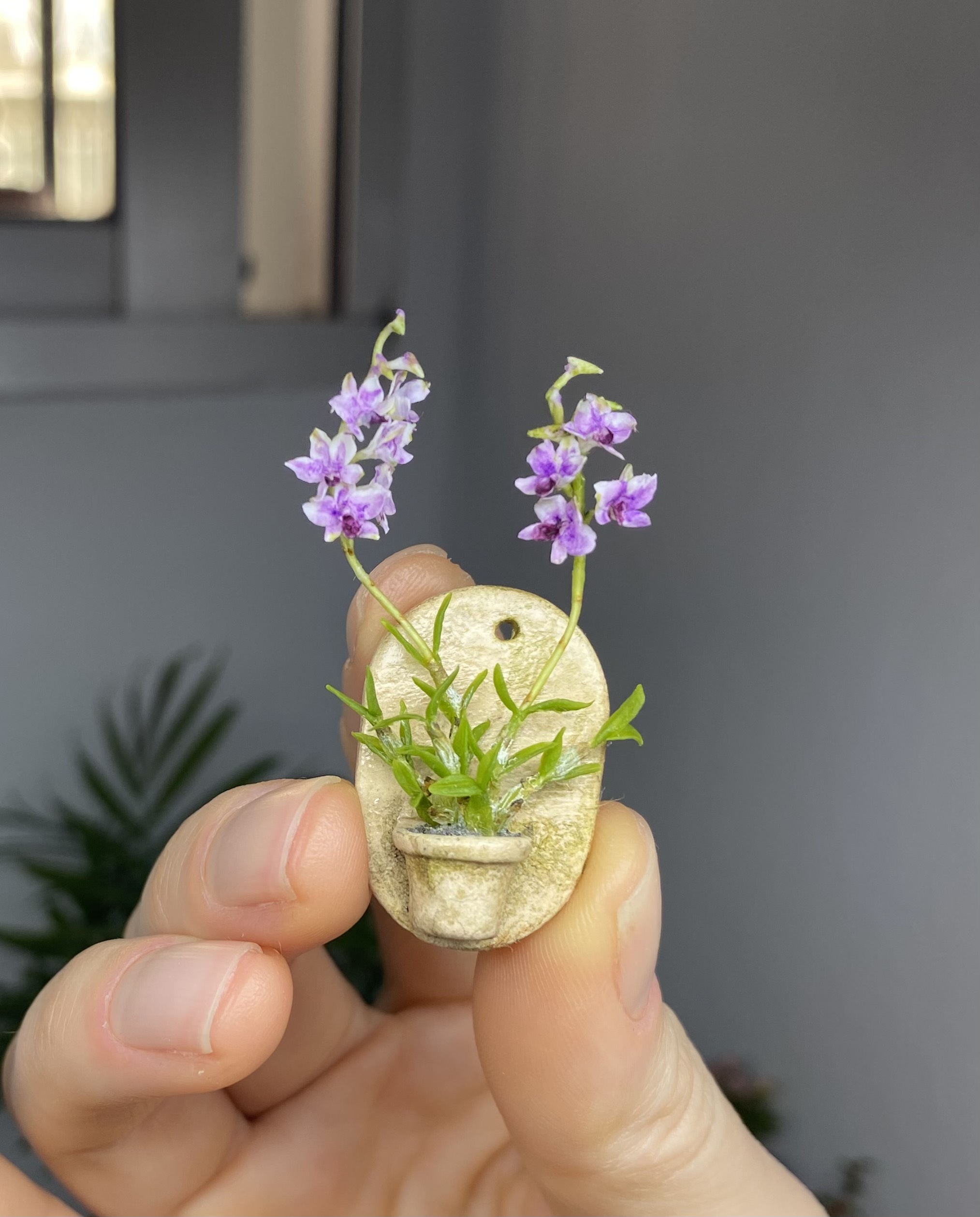 Orchid Dendrobium