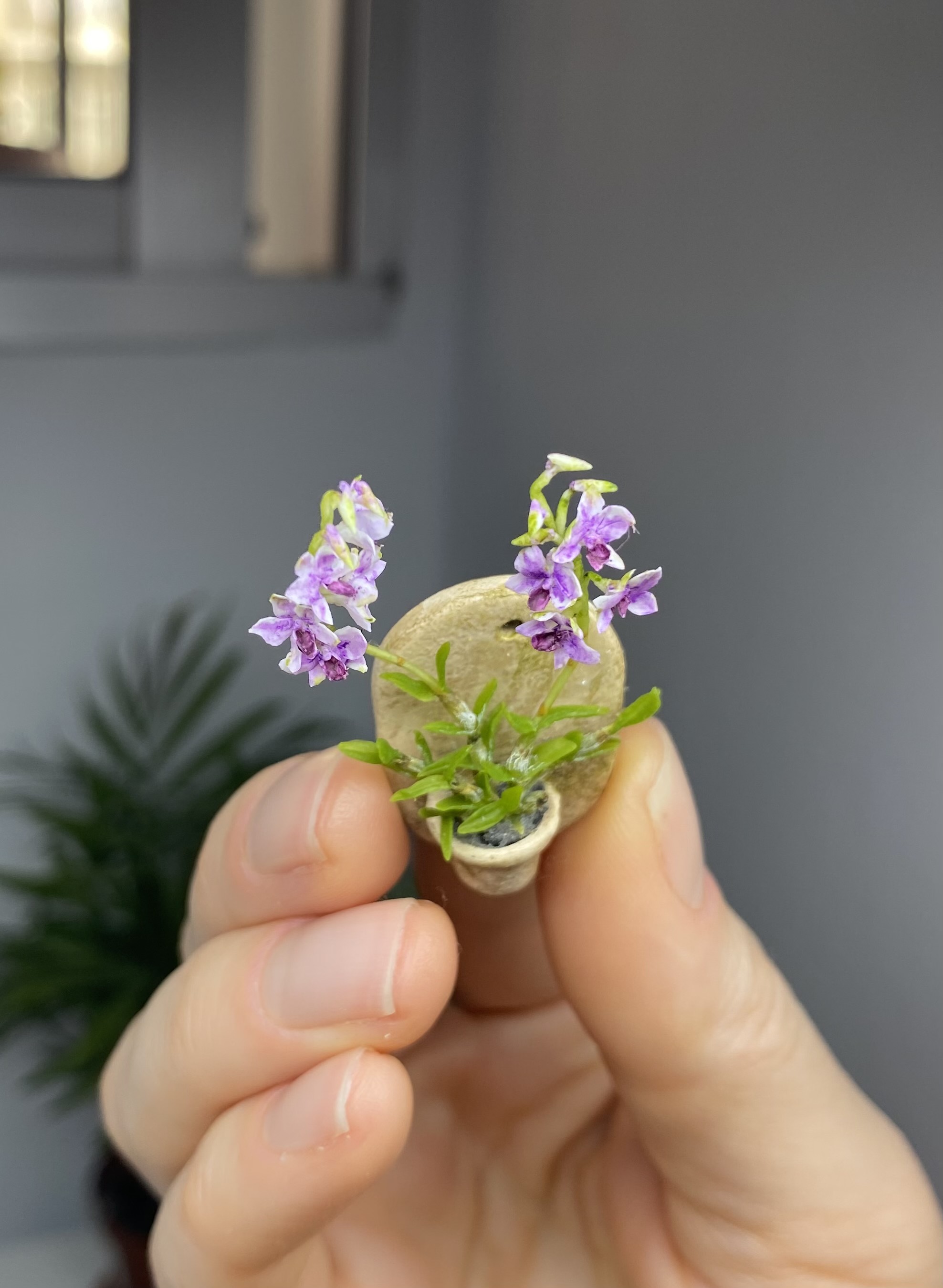 Orchid Dendrobium
