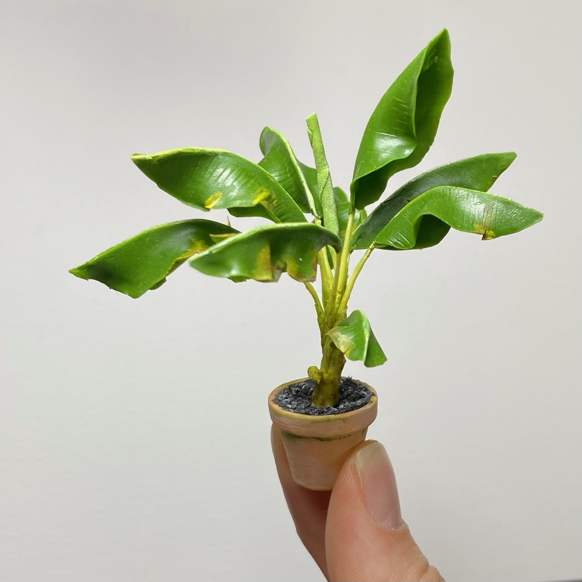 Banana tree in pot, Scale 1/12 - TO ORDER