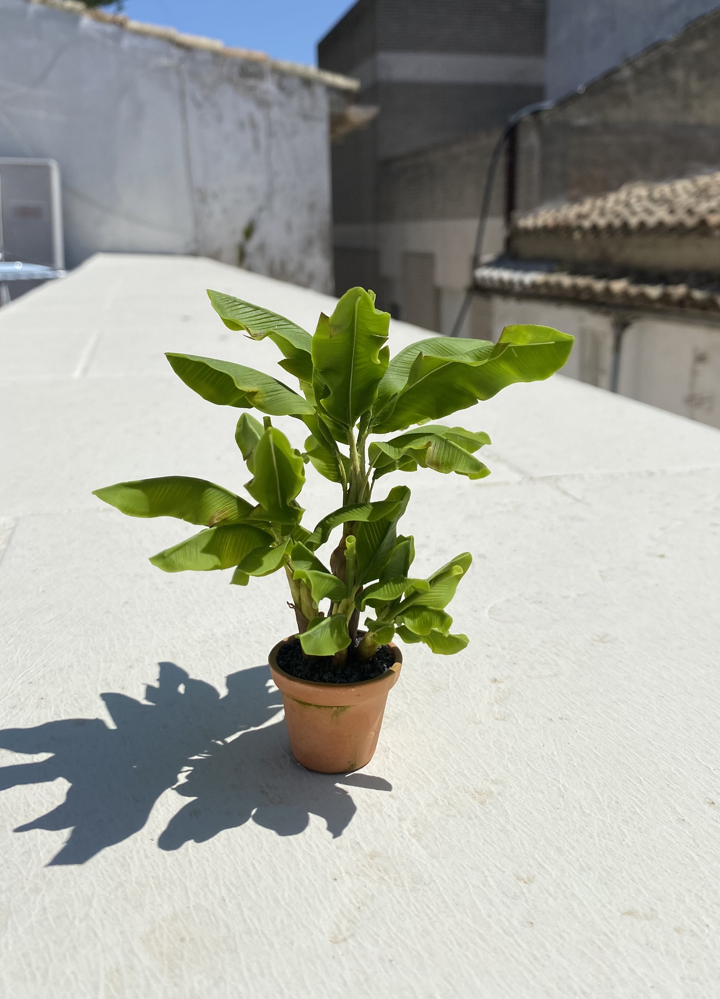 Banana tree, 4 plants in pot, Scale 1/12, TO ORDER
