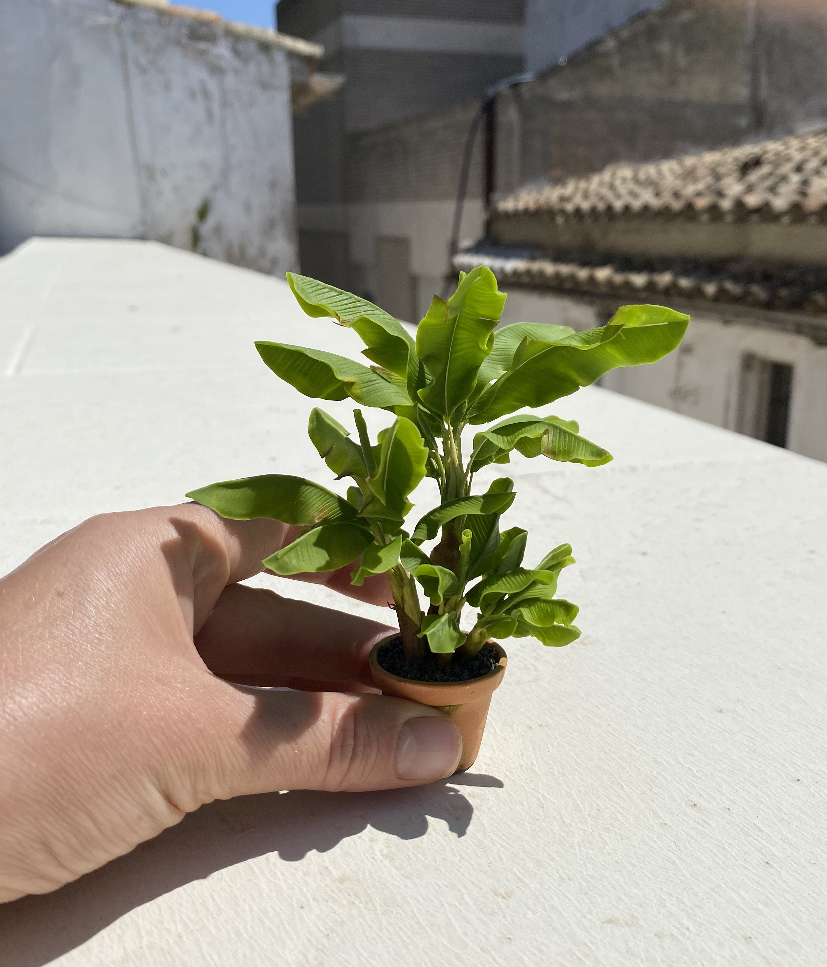 Banana tree, 4 plants in pot, Scale 1/12, TO ORDER