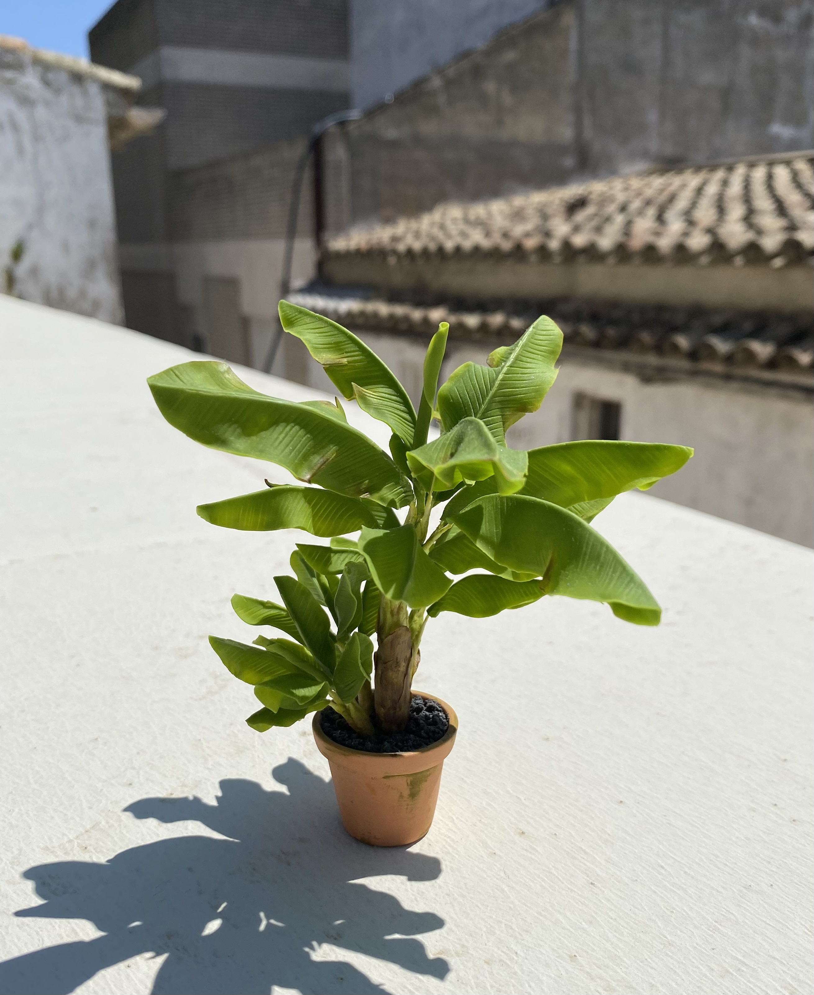 Banana tree, 4 plants in pot, Scale 1/12, TO ORDER