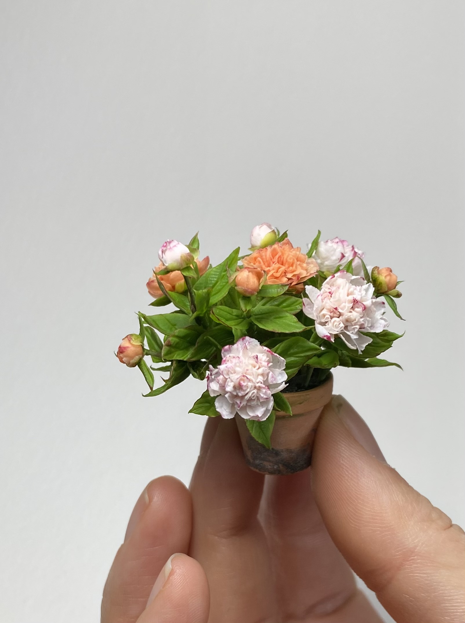  Peones in pot - TO ORDER