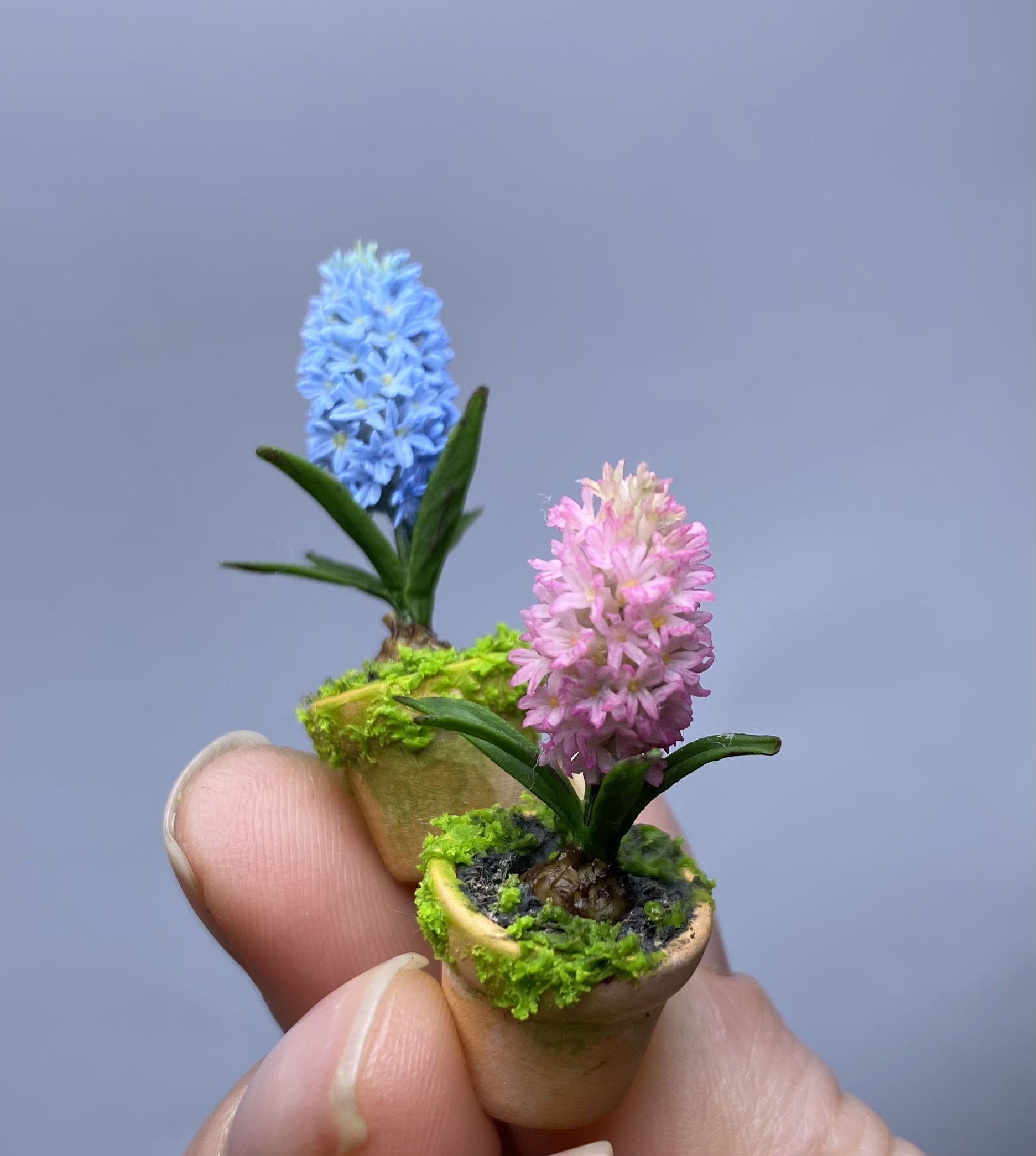 Hyacinth in pot, Scale 1/12 - TO ORDER