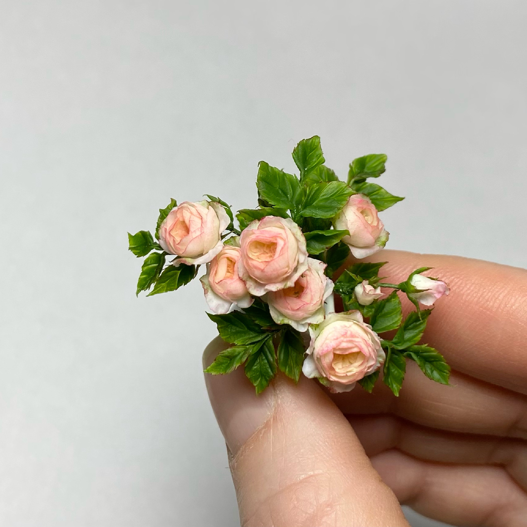 Rosa, Scale 1/12 - TO ORDER