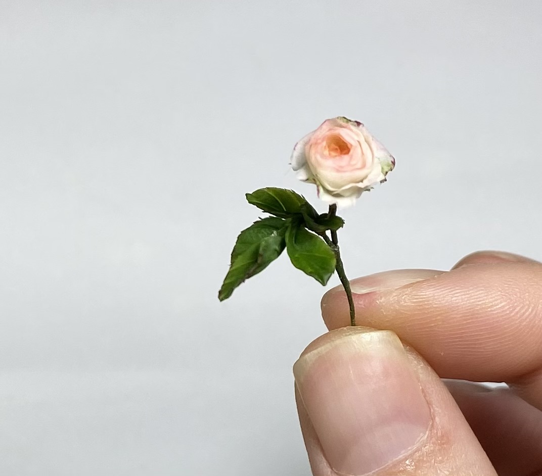 Rosa, Scale 1/12 - TO ORDER