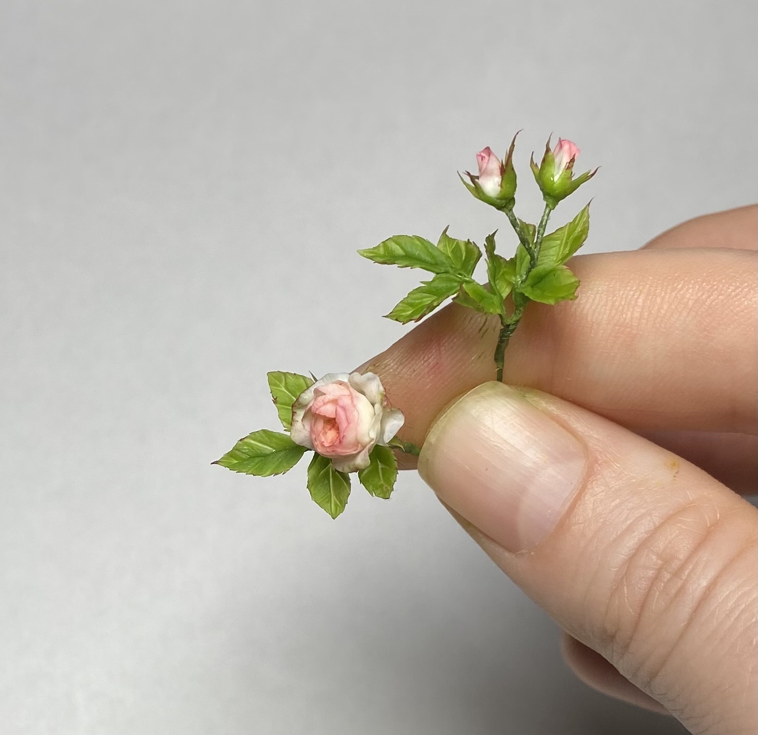 Rosa, Scale 1/12 - TO ORDER