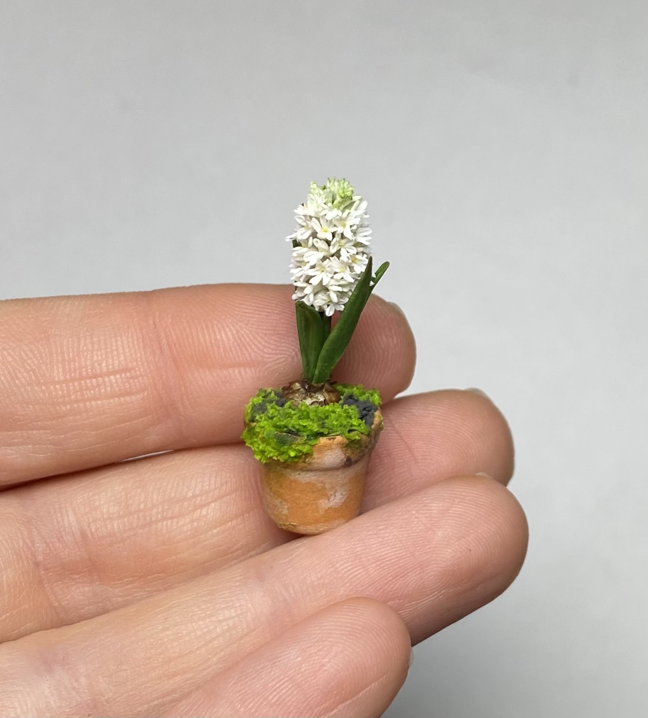 Hyacinth in pot, Scale 1/12 - TO ORDER