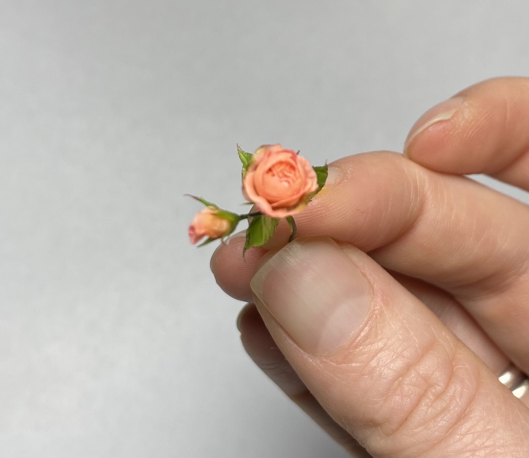 Rosa, Scale 1/12 - TO ORDER