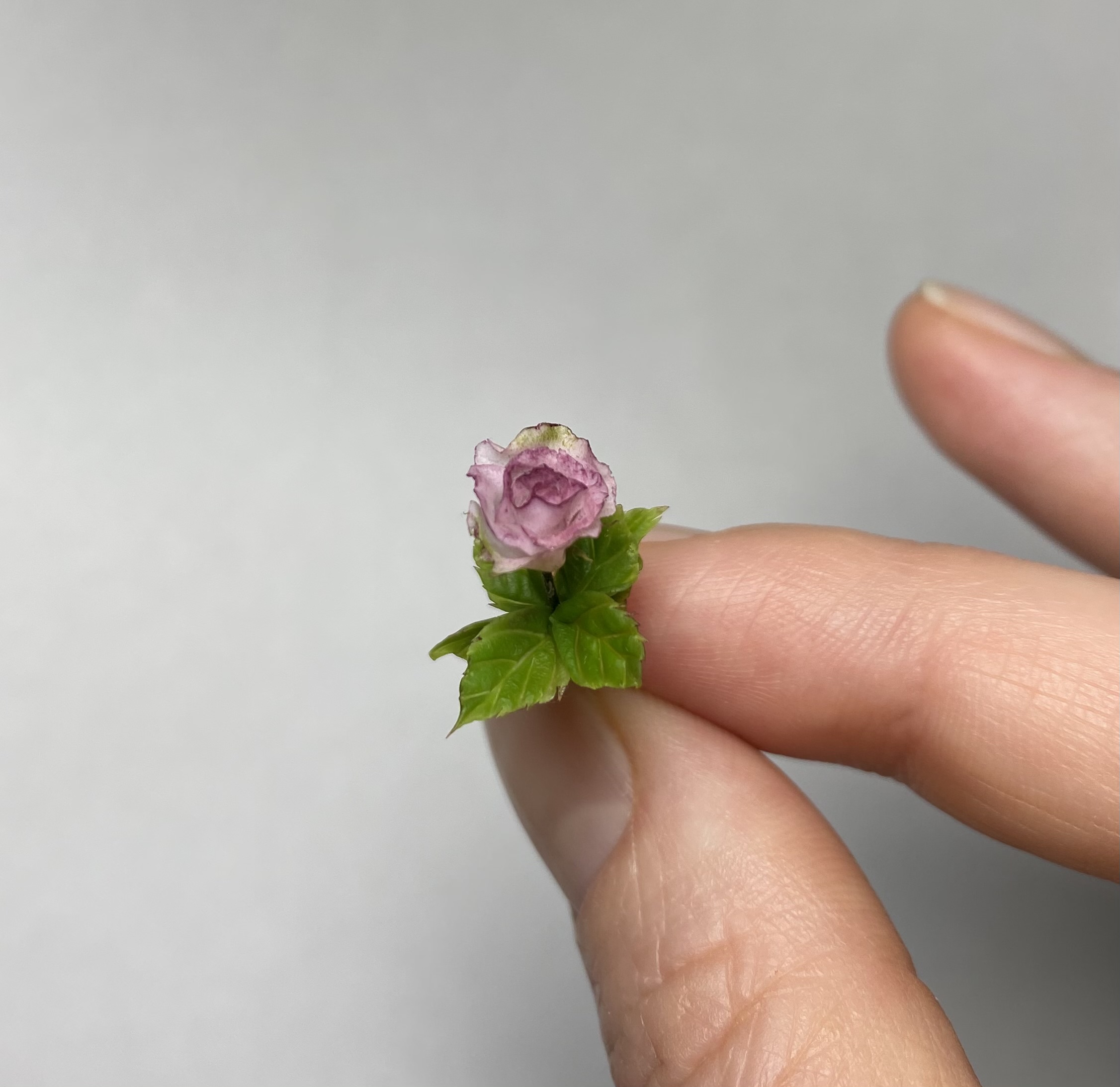 Dust pink rosa, Scale 1/12 - TO ORDER