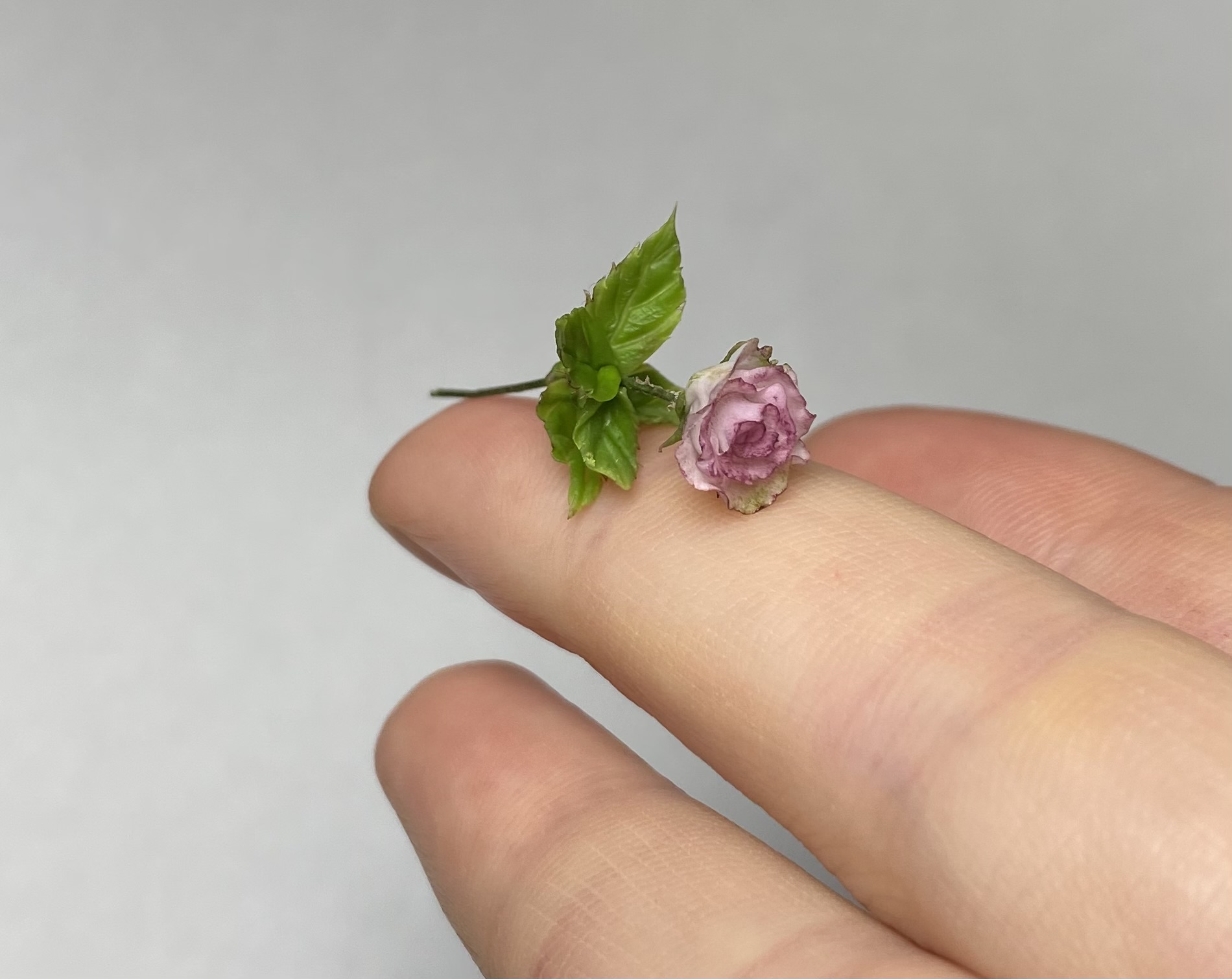 Dust pink rosa, Scale 1/12 - TO ORDER