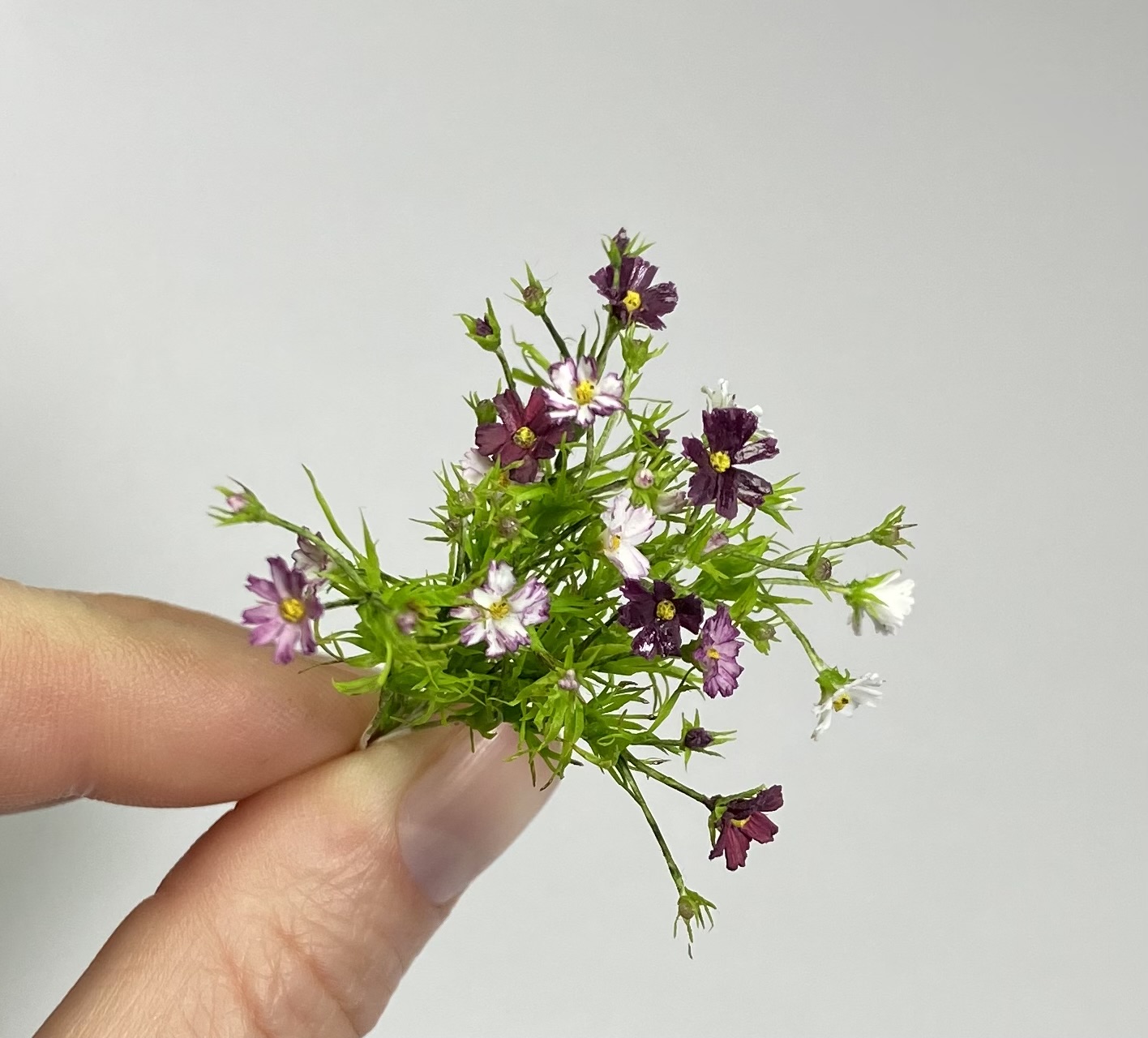 Dollhouse Cosmea, Scale 1/12 - TO ORDER