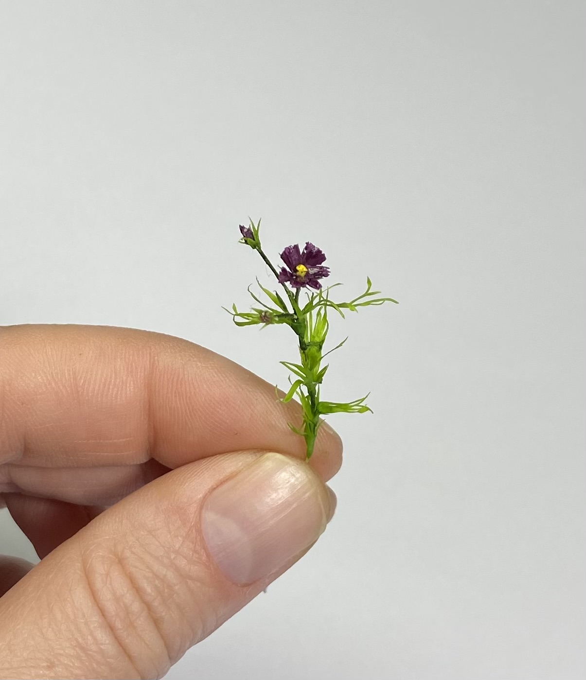 Dollhouse Cosmea, Scale 1/12 - TO ORDER