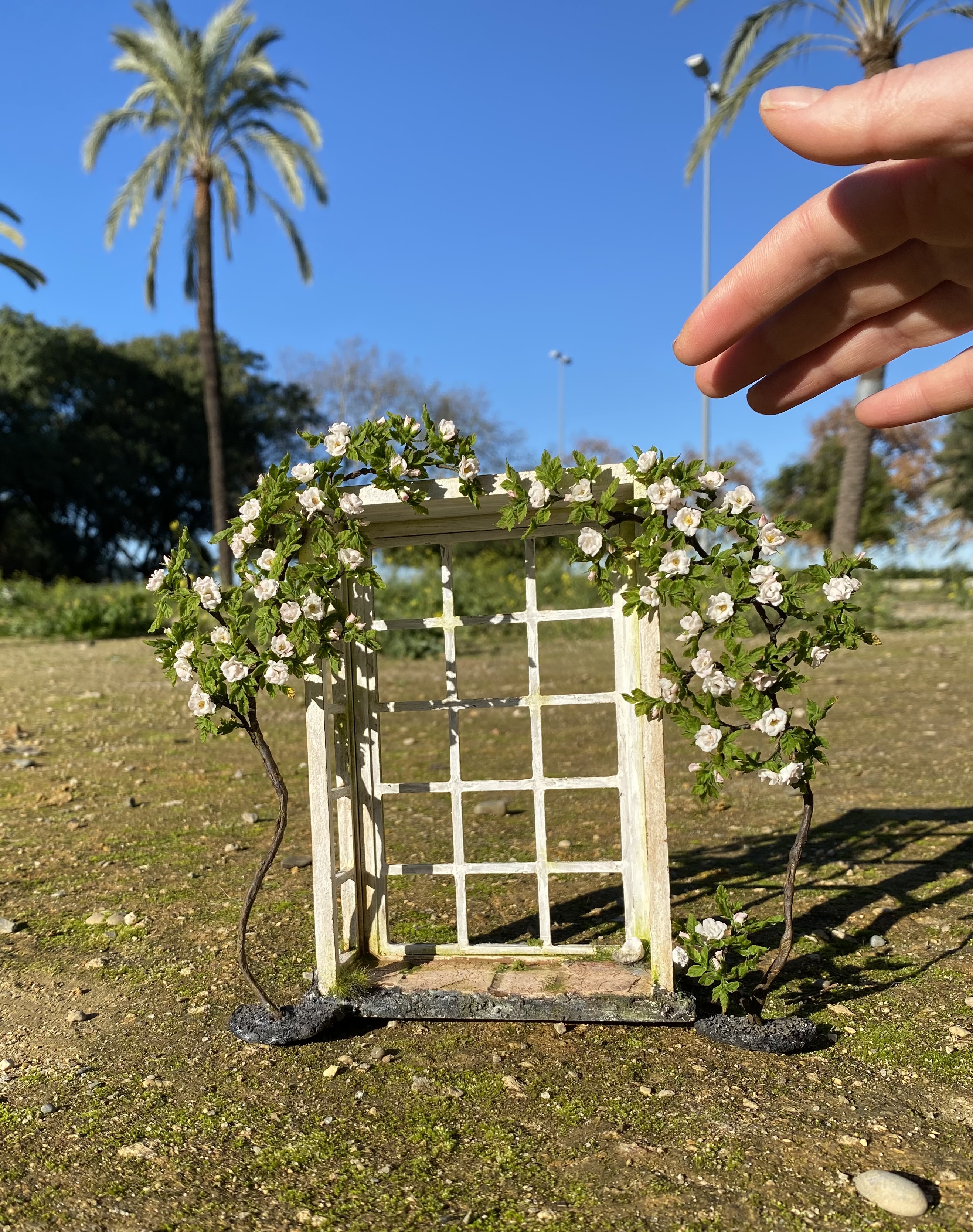 White climbing rose for garden, Scale 1/12 - TO ORDER