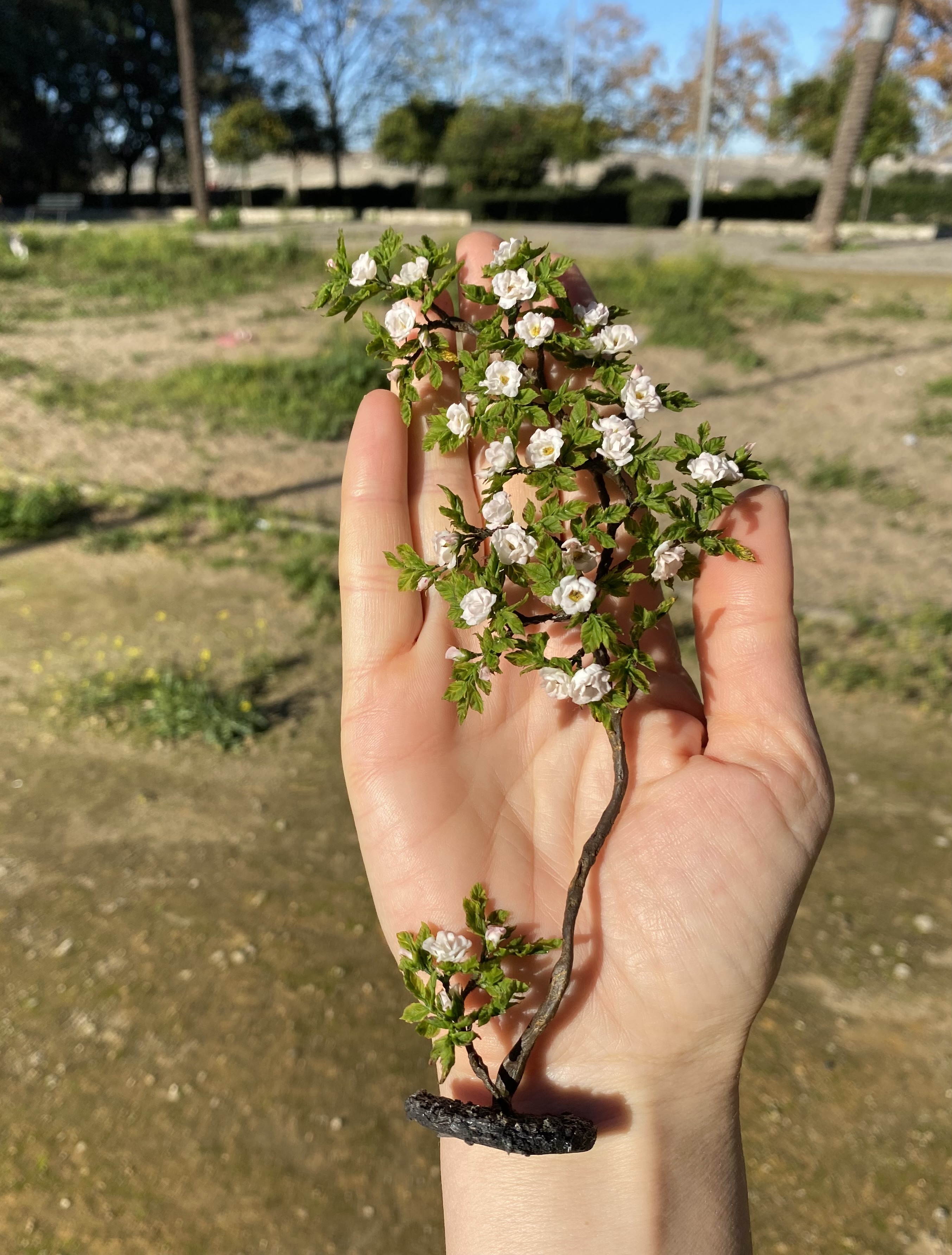White climbing rose for garden, Scale 1/12 - TO ORDER