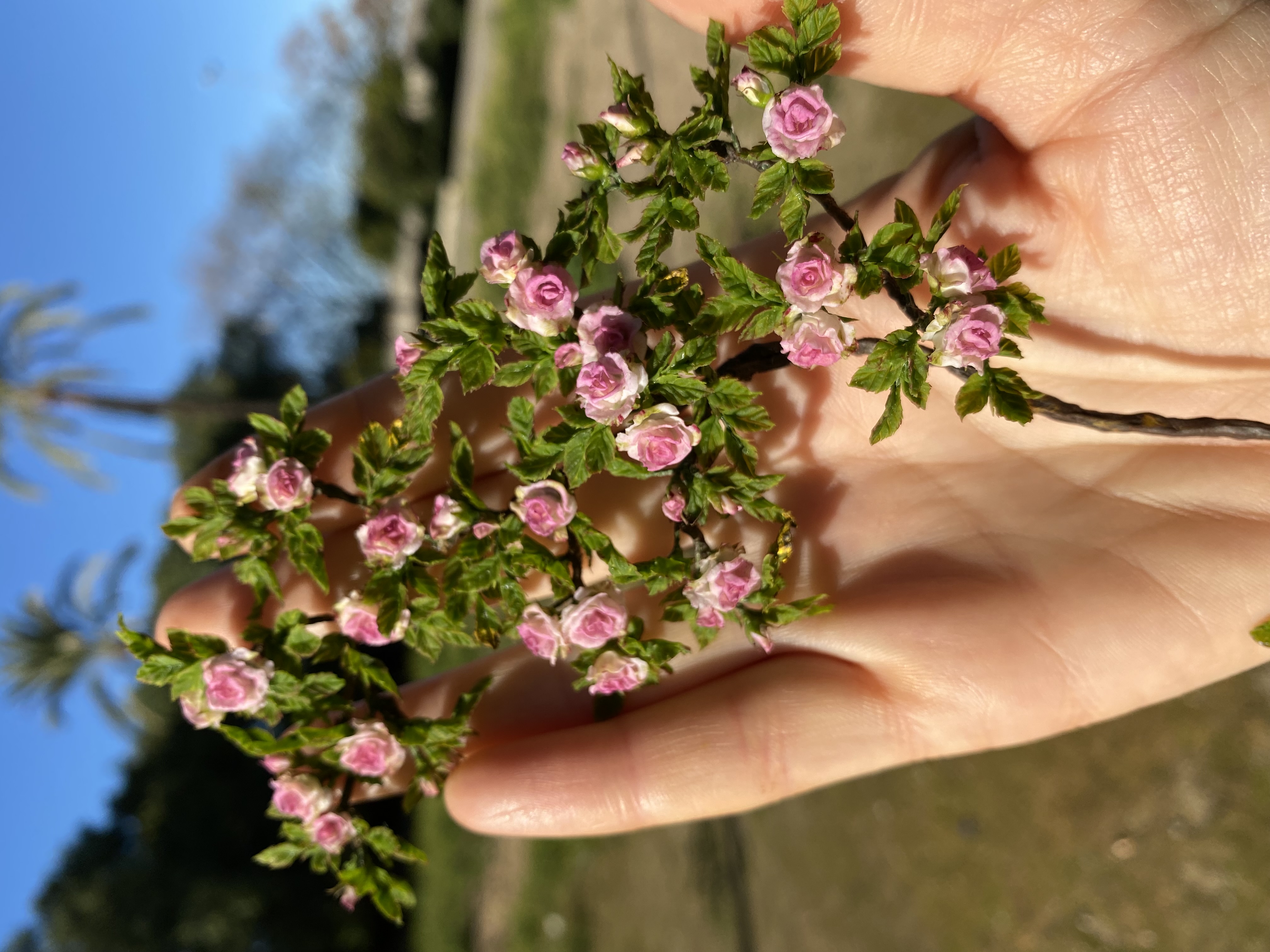 Pink climbing rose, Scale 1/12 - TO ORDER