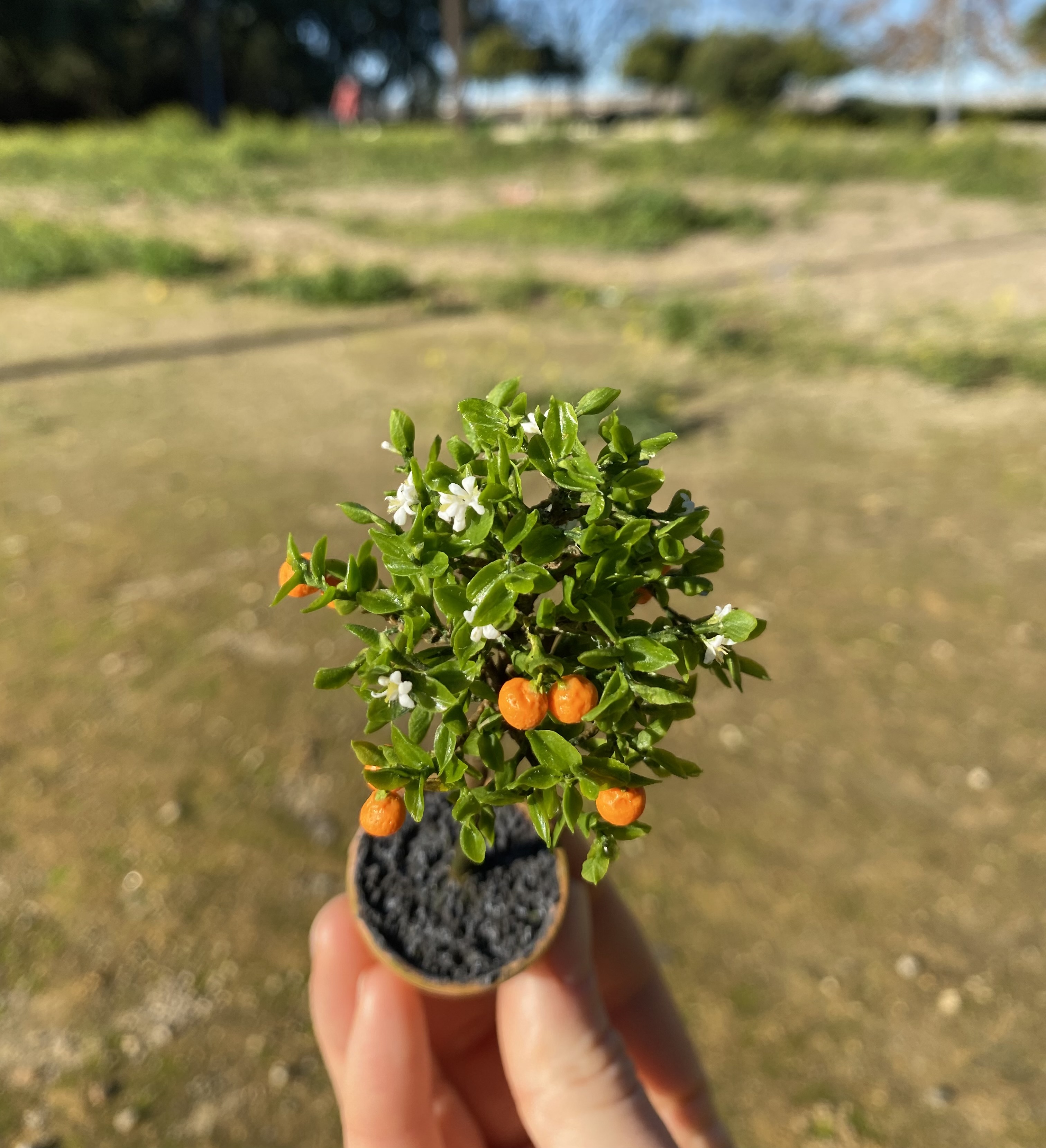 Mandarina tree in pot, Scale 1/12- TO ORDER