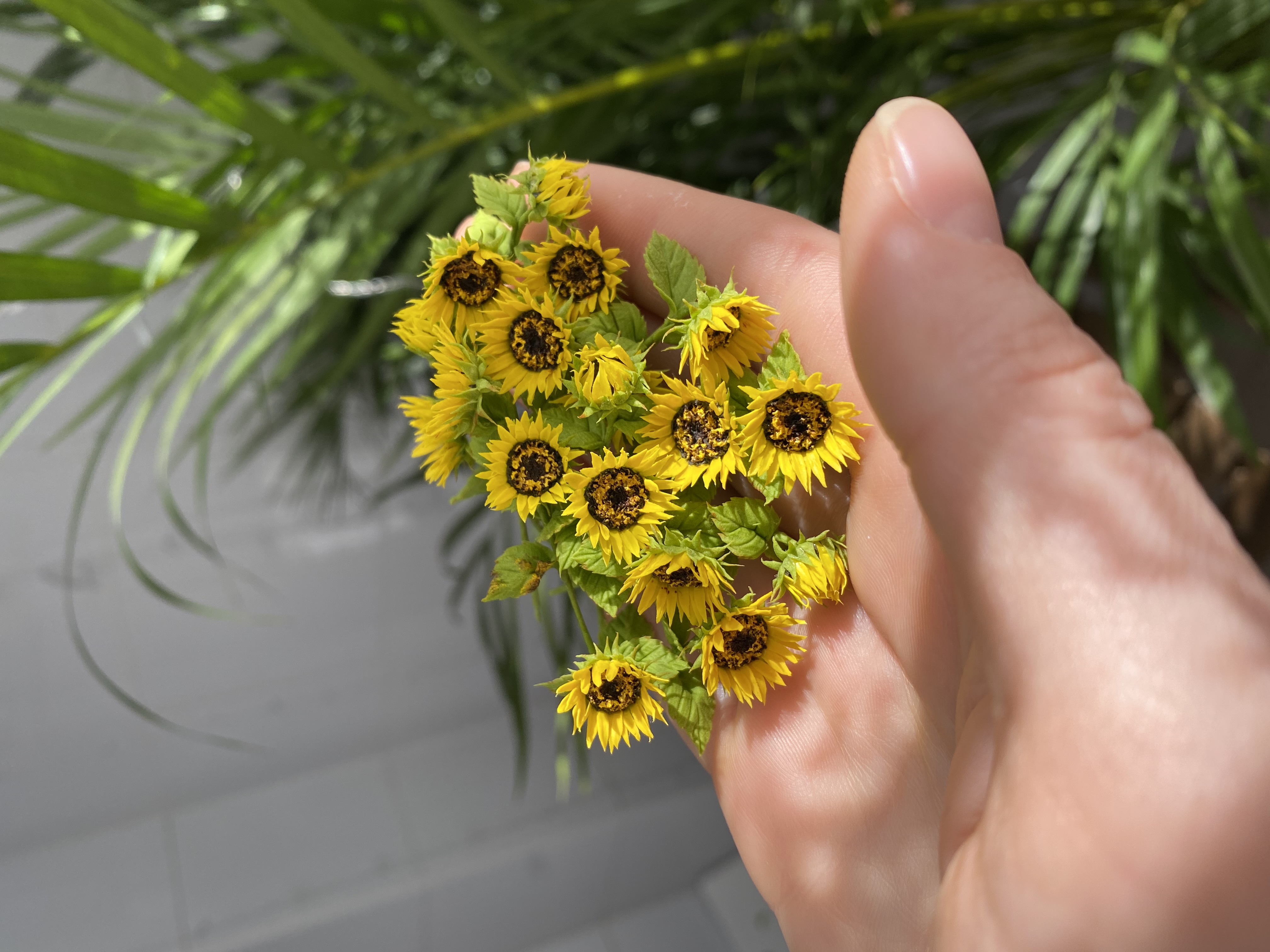 Dollhouse sunflower, Scale 1/12, TO ORDER