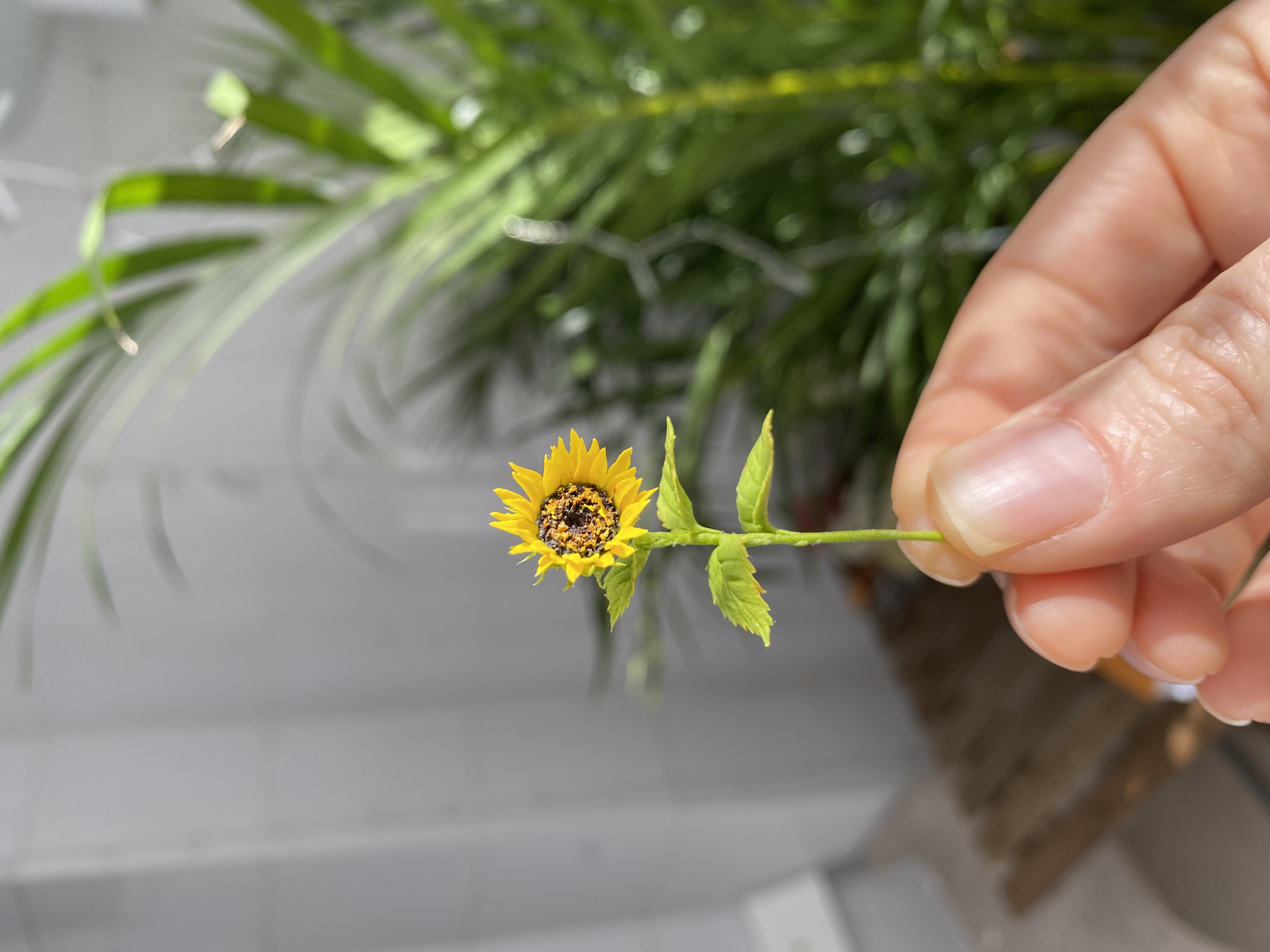 Dollhouse sunflower, Scale 1/12, TO ORDER
