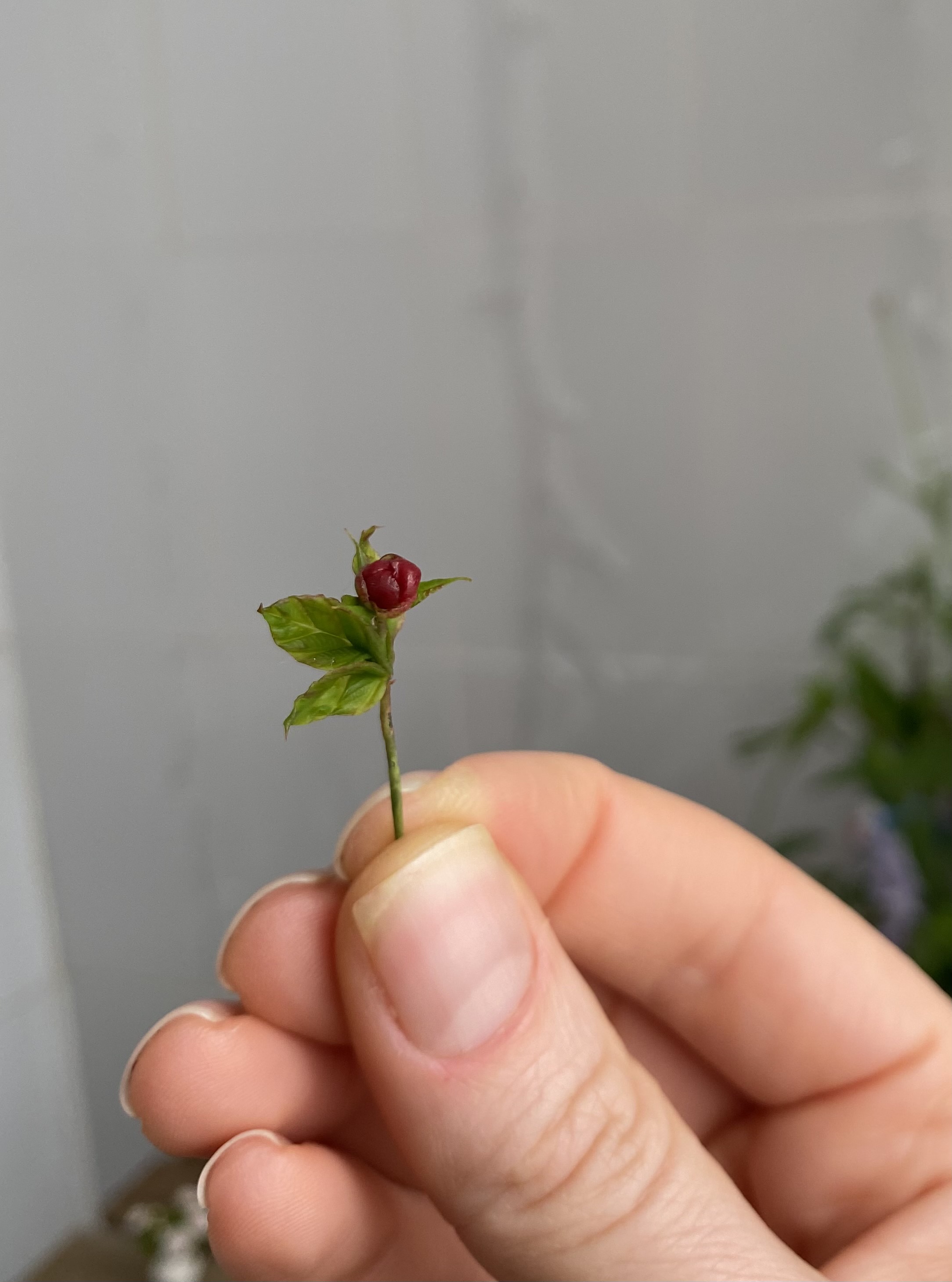 Dollhouse  burgundy peony, Scale 1/12, TO ORDER