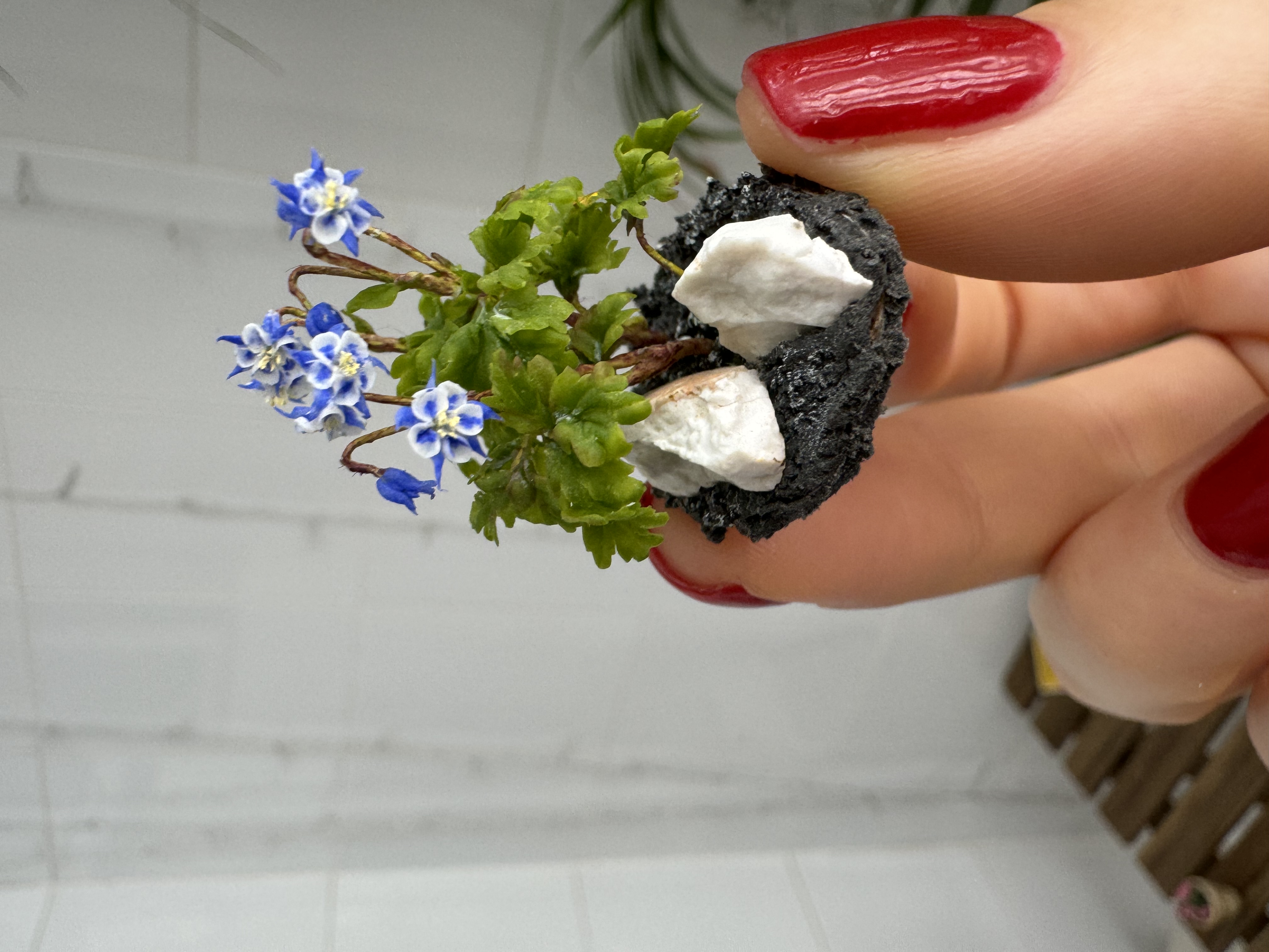 Dollhouse Columbines for garden, Scale 1/12 - TO ORDER