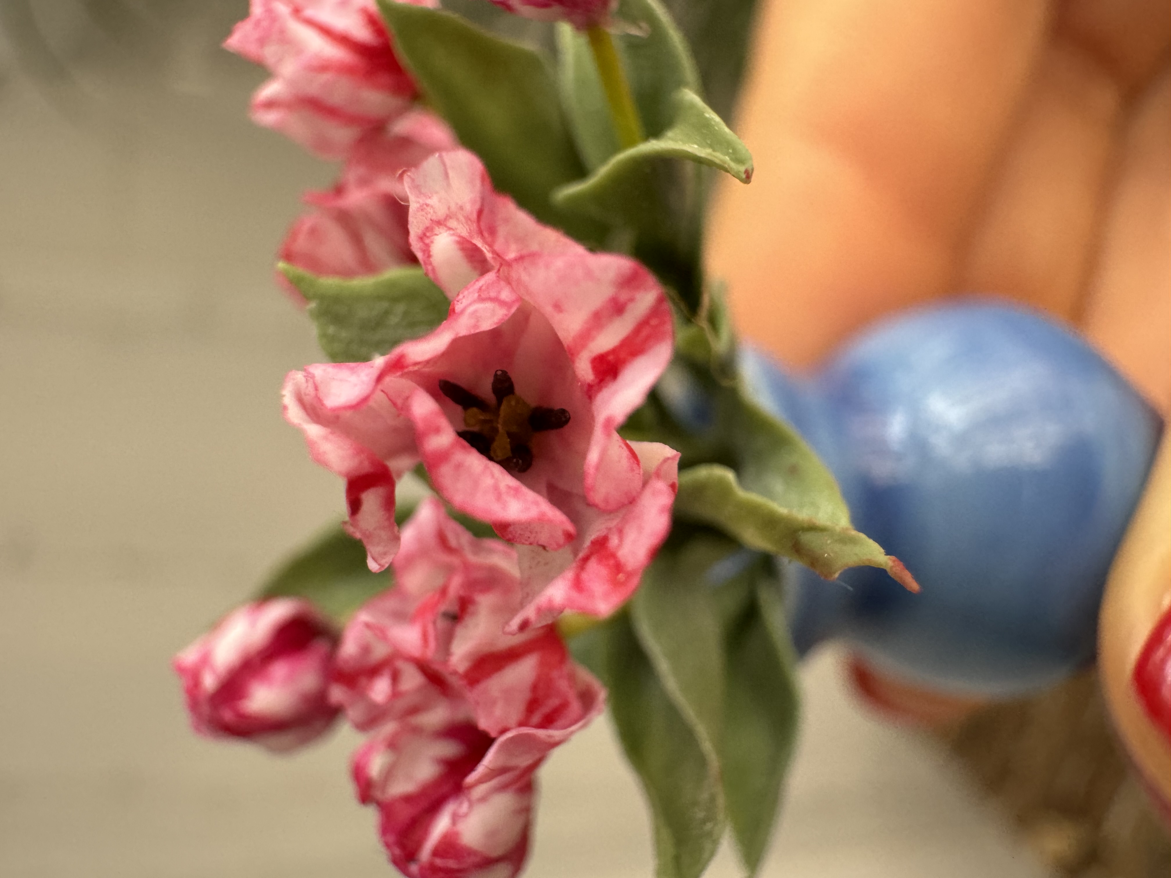 Dollhouse  tulip, Scale 1/12, TO ORDER