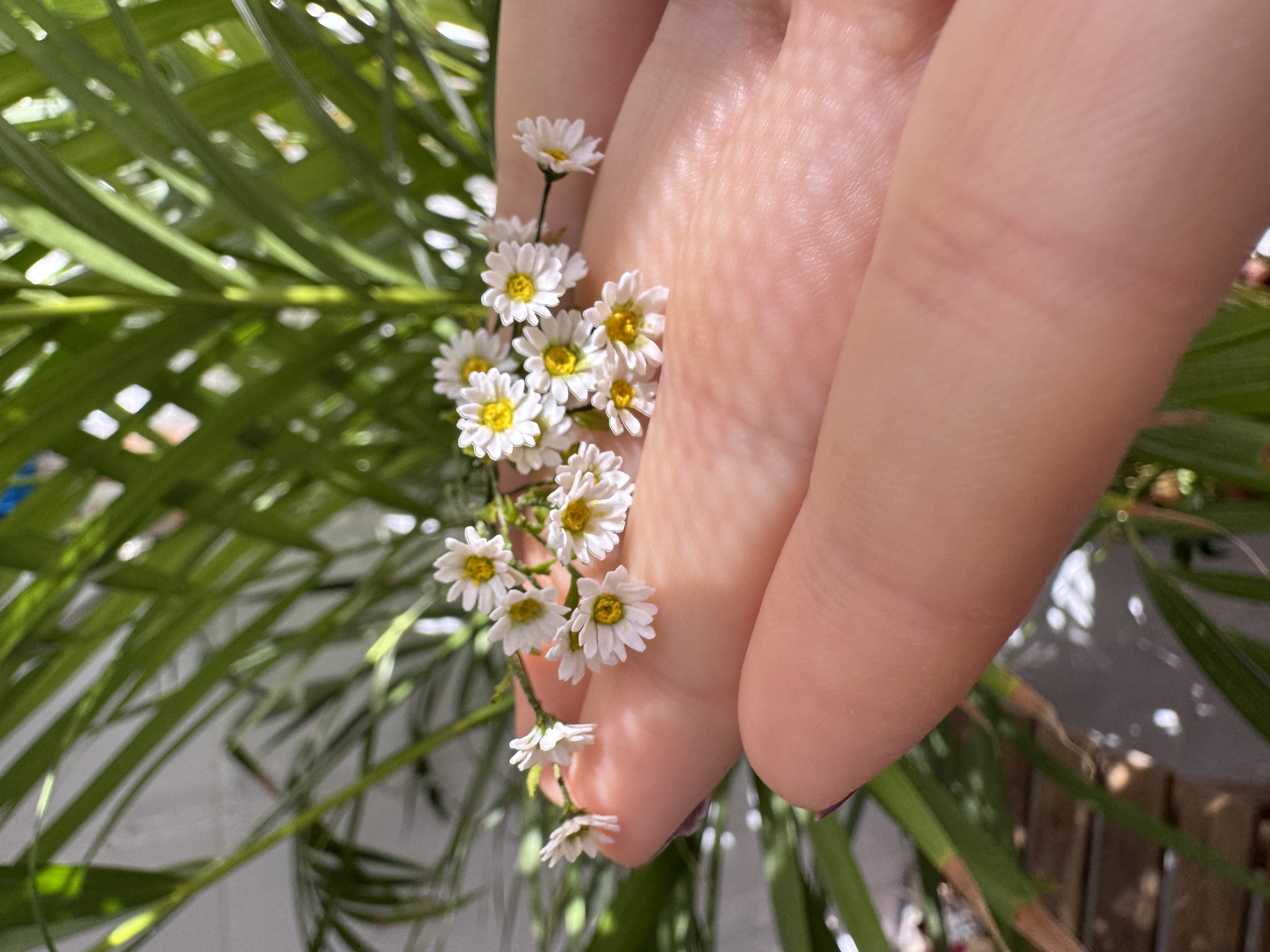 Dollhouse  Daisy, Scale 1/12, TO ORDER