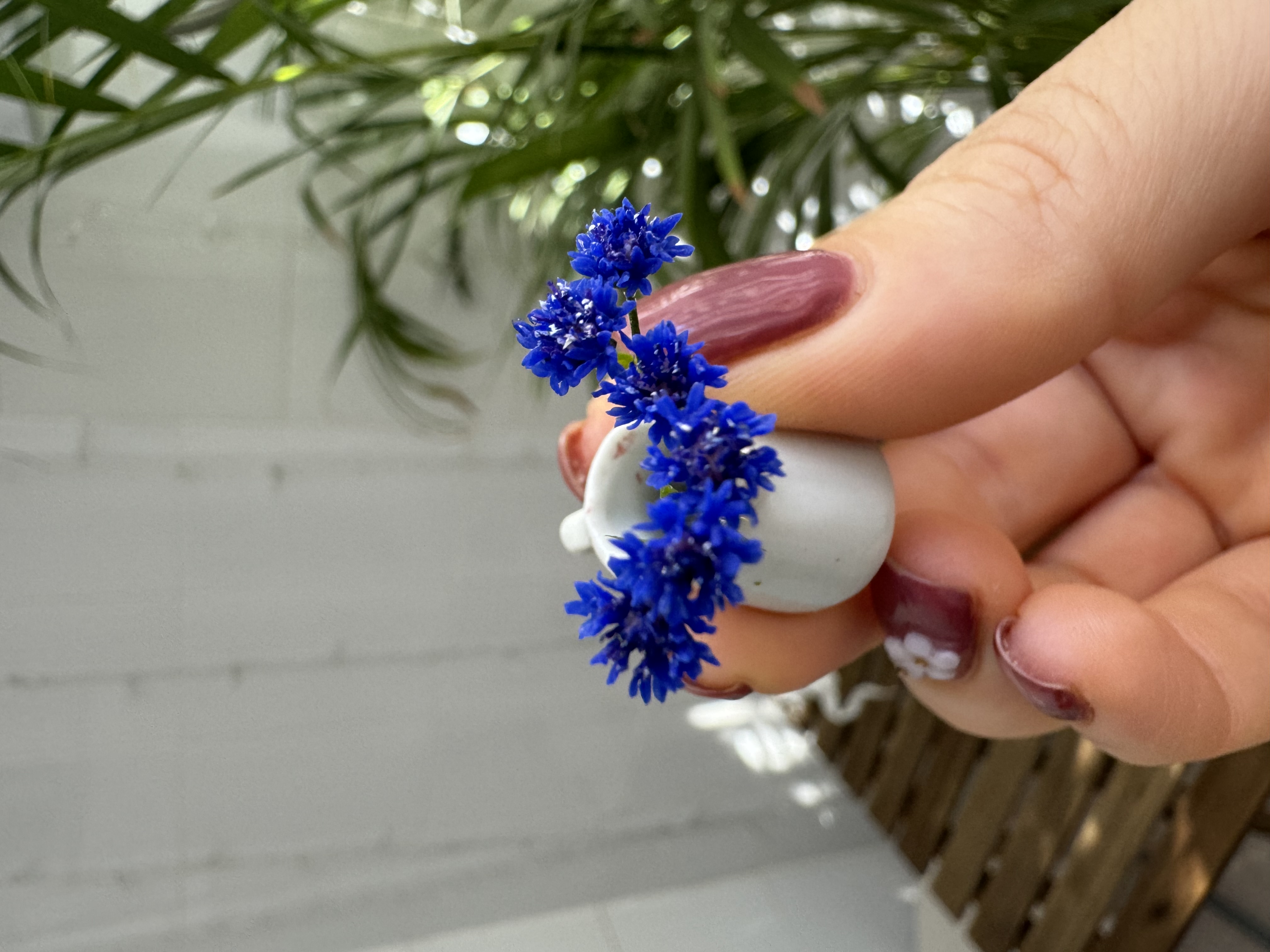 Dollhouse  Cornflower, Scale 1/12, TO ORDER
