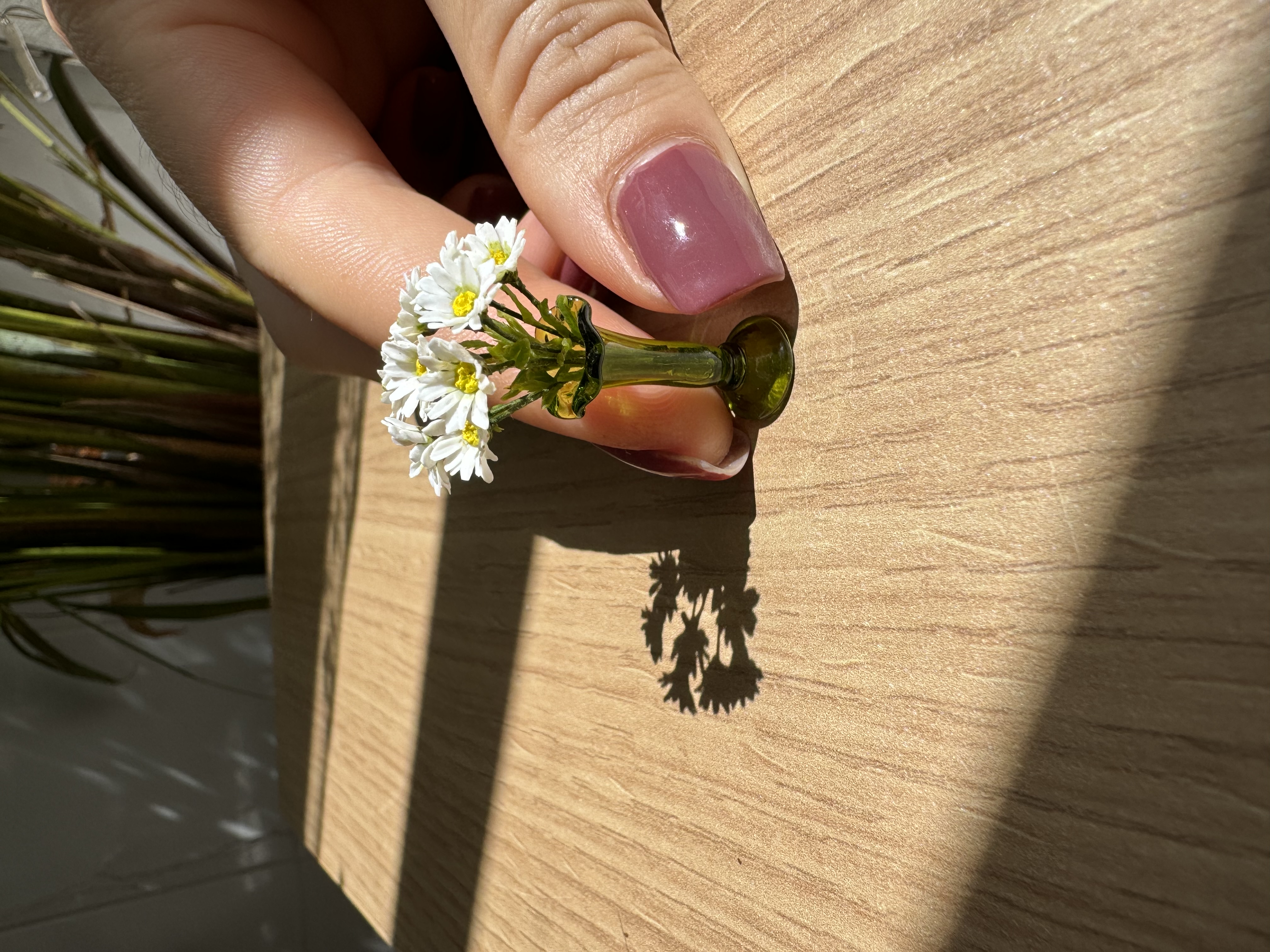 Daisies bouquet 