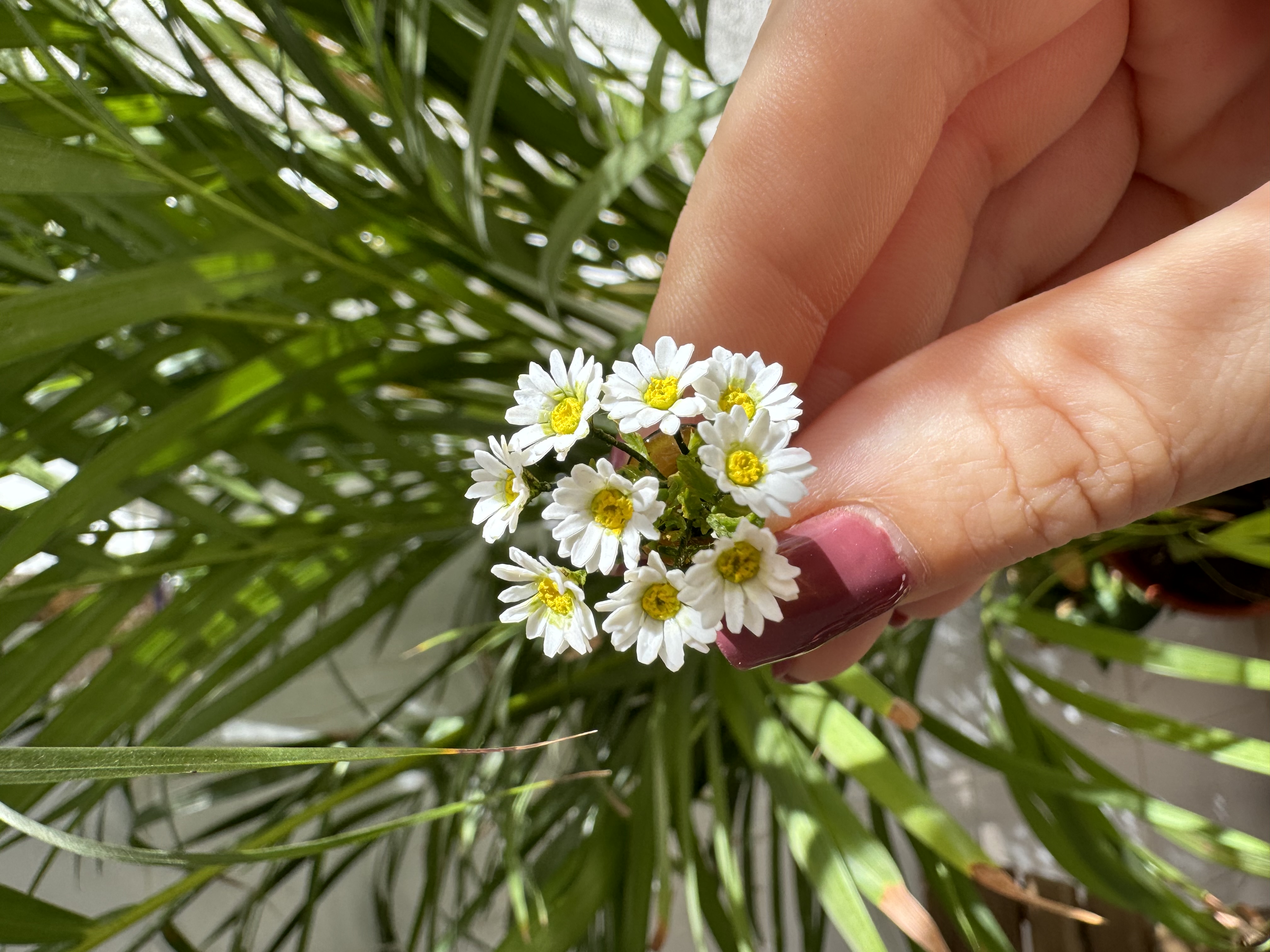 Daisies bouquet 