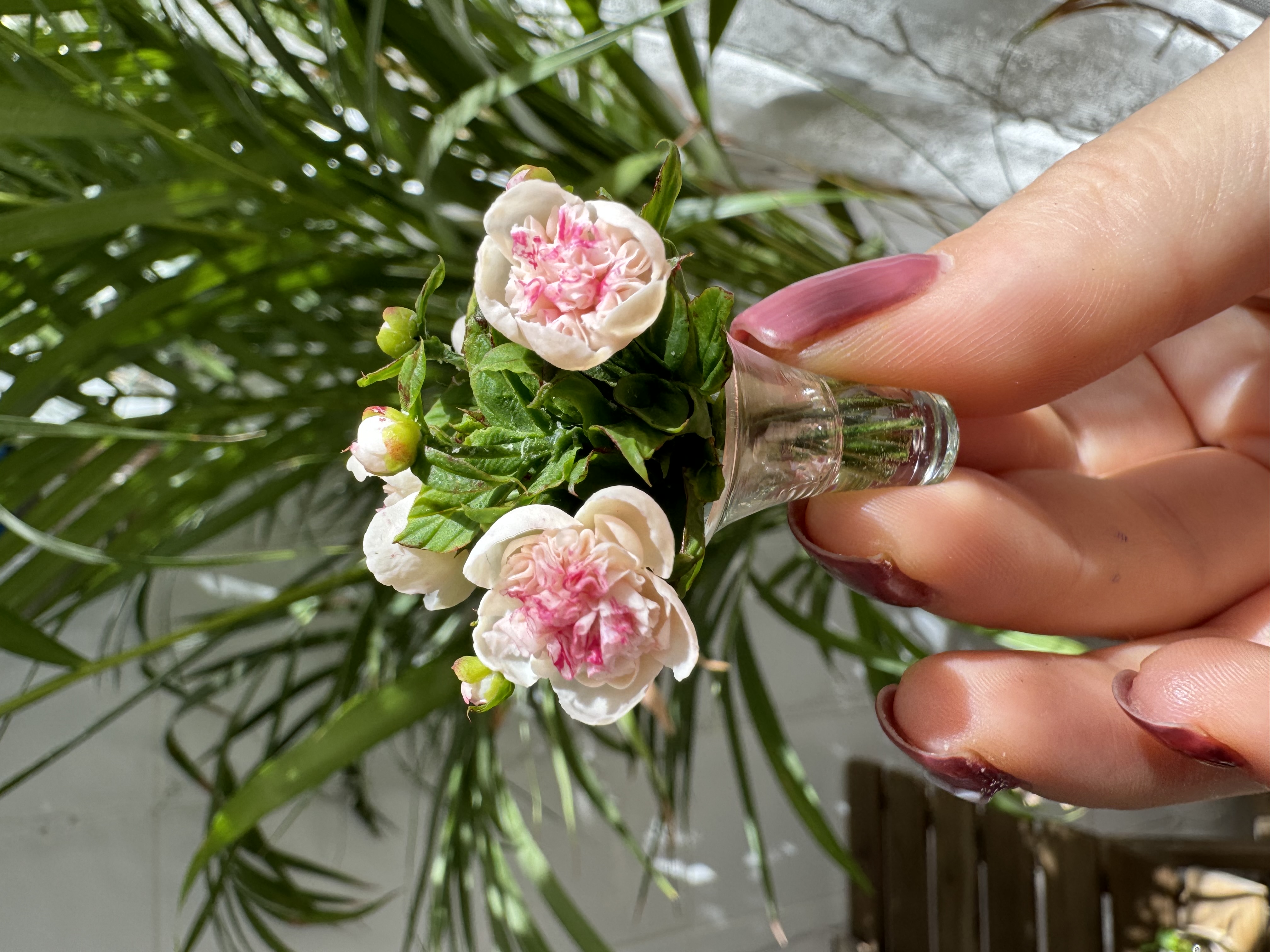 Peonies bouquet 
