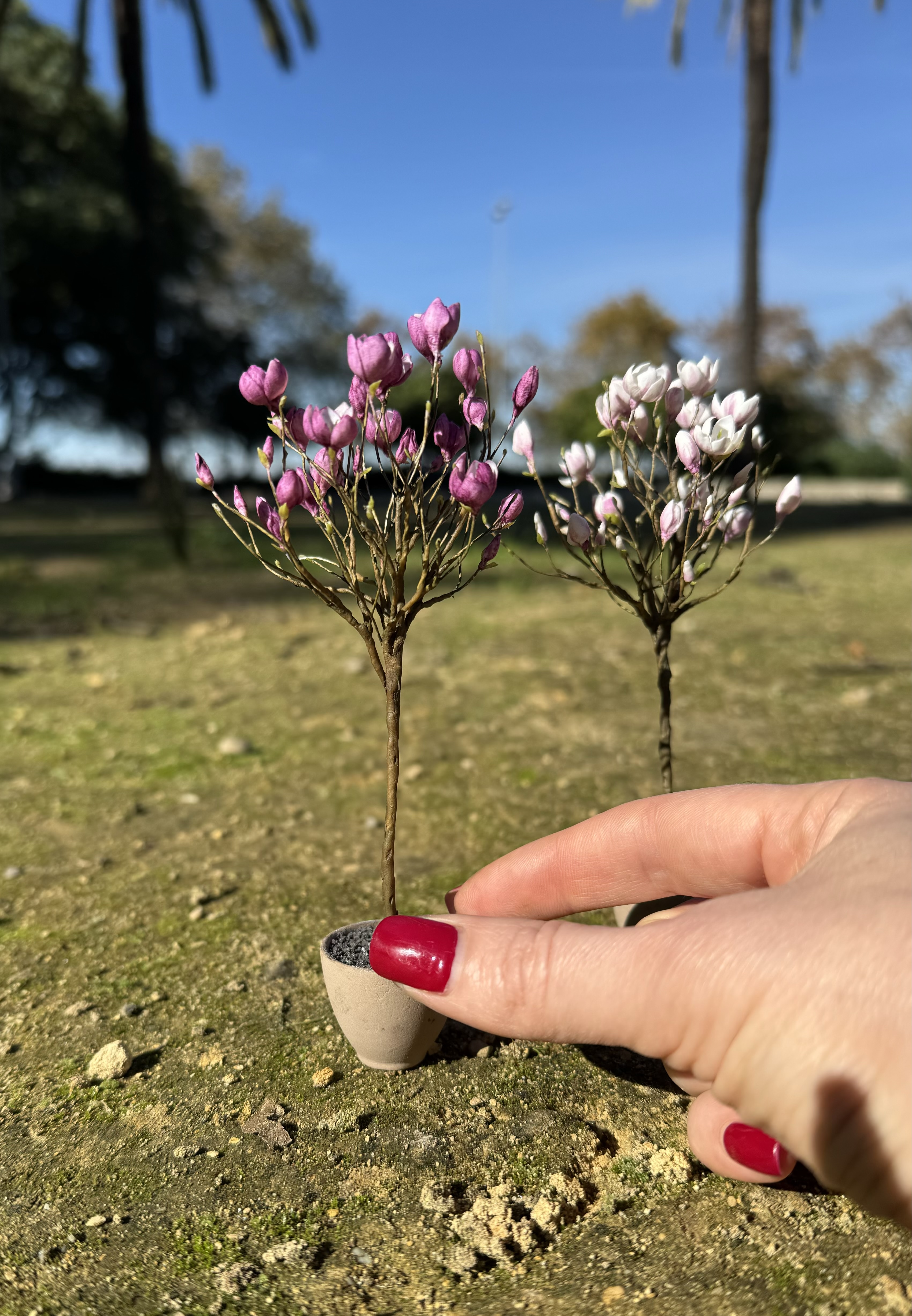 Magnolia tree in pot, Scale 1/12 - TO ORDER