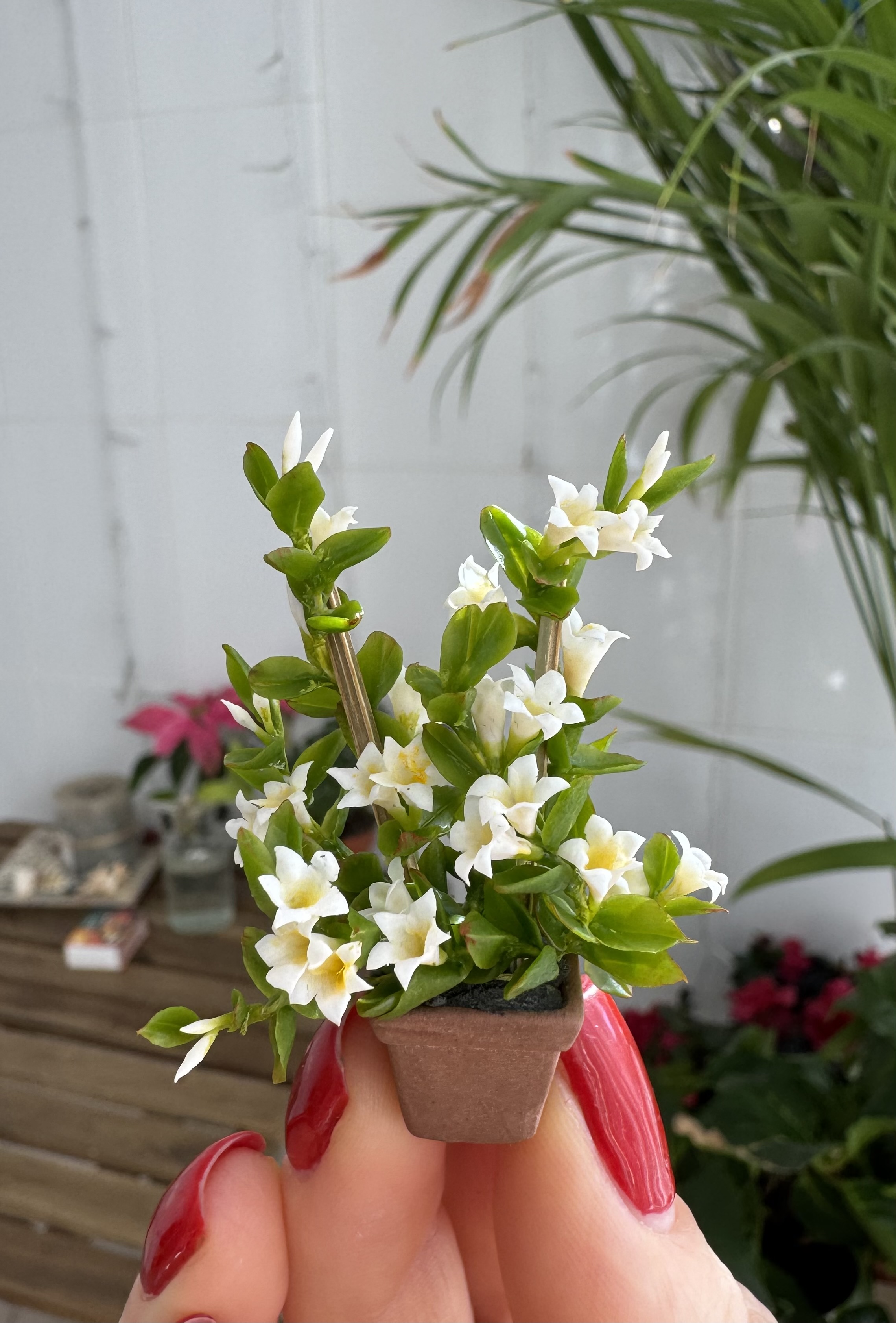 Dollhouse Mandevilla, Scale 1/12, TO ORDER