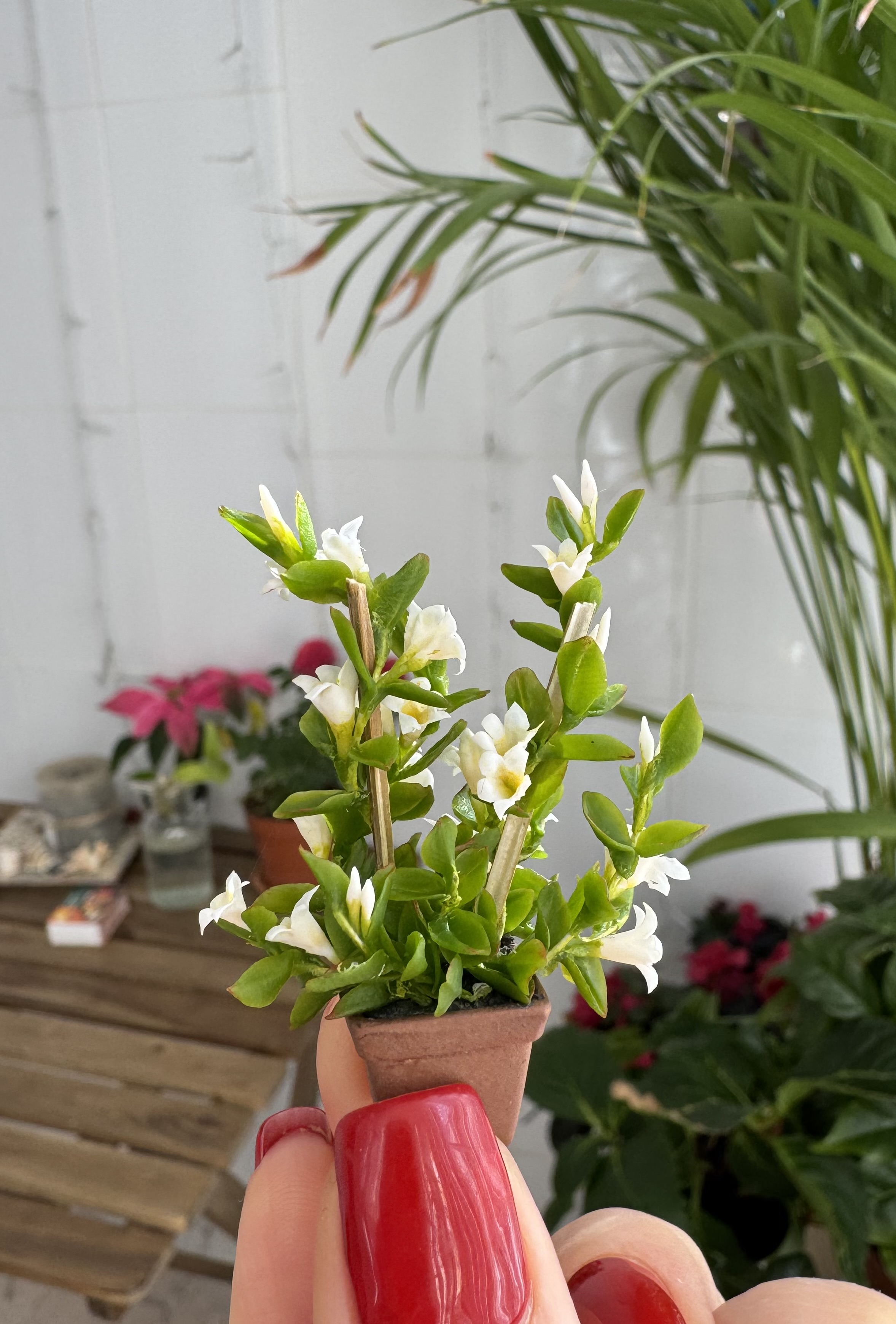 Dollhouse Mandevilla, Scale 1/12, TO ORDER