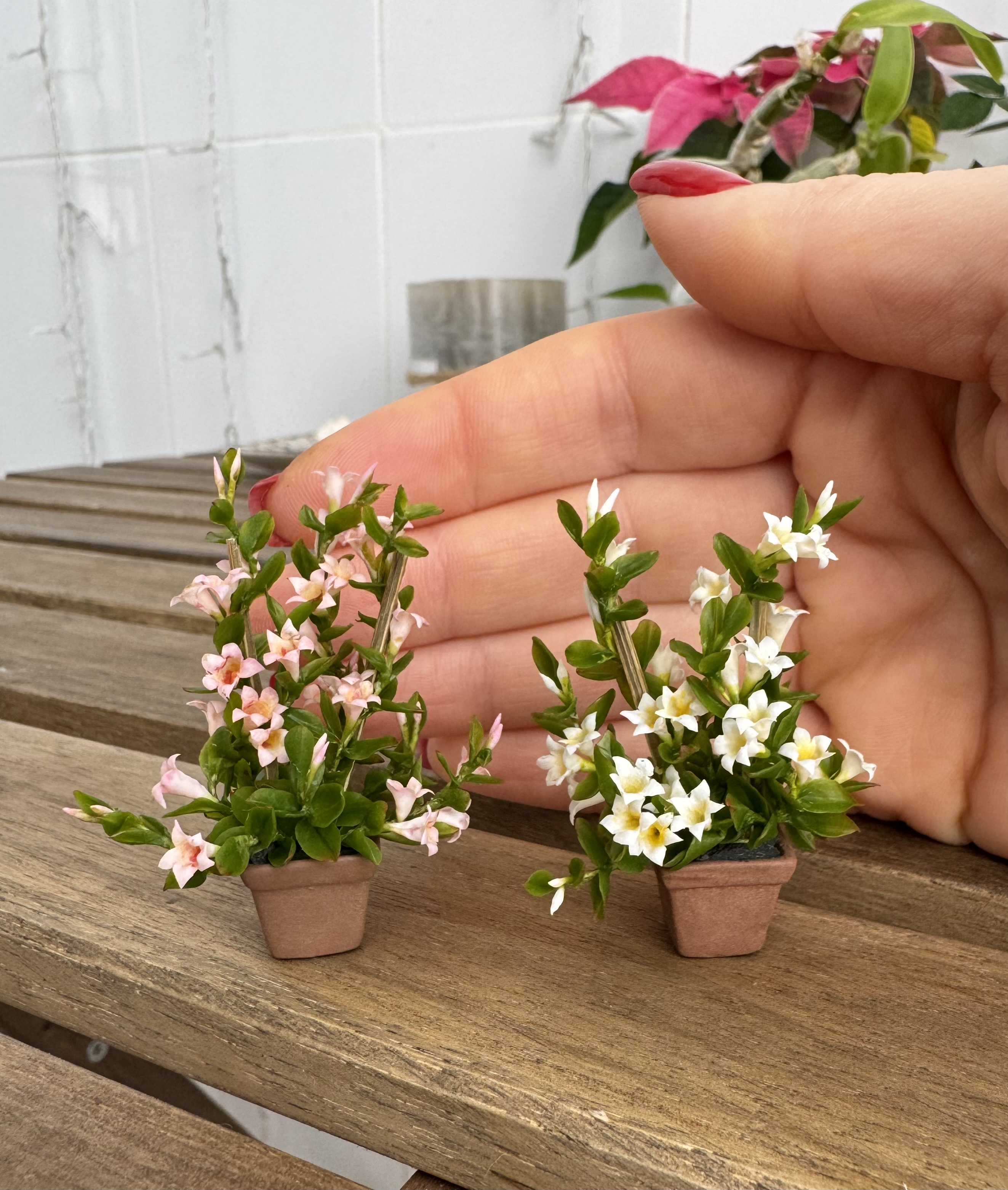 Dollhouse Mandevilla, Scale 1/12, TO ORDER