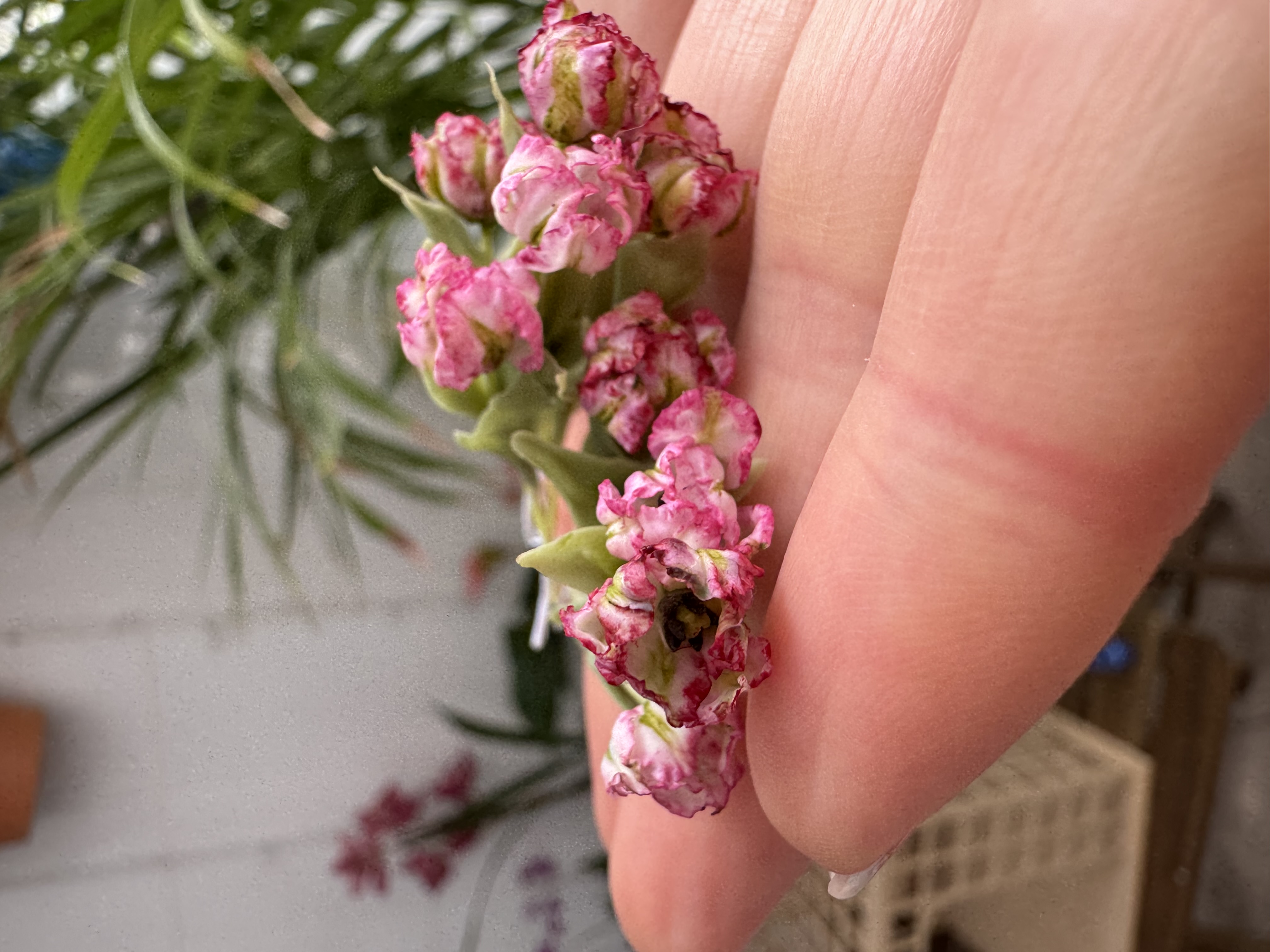 Dollhouse Parrot Tulip, Scale 1/12 - Made to order
