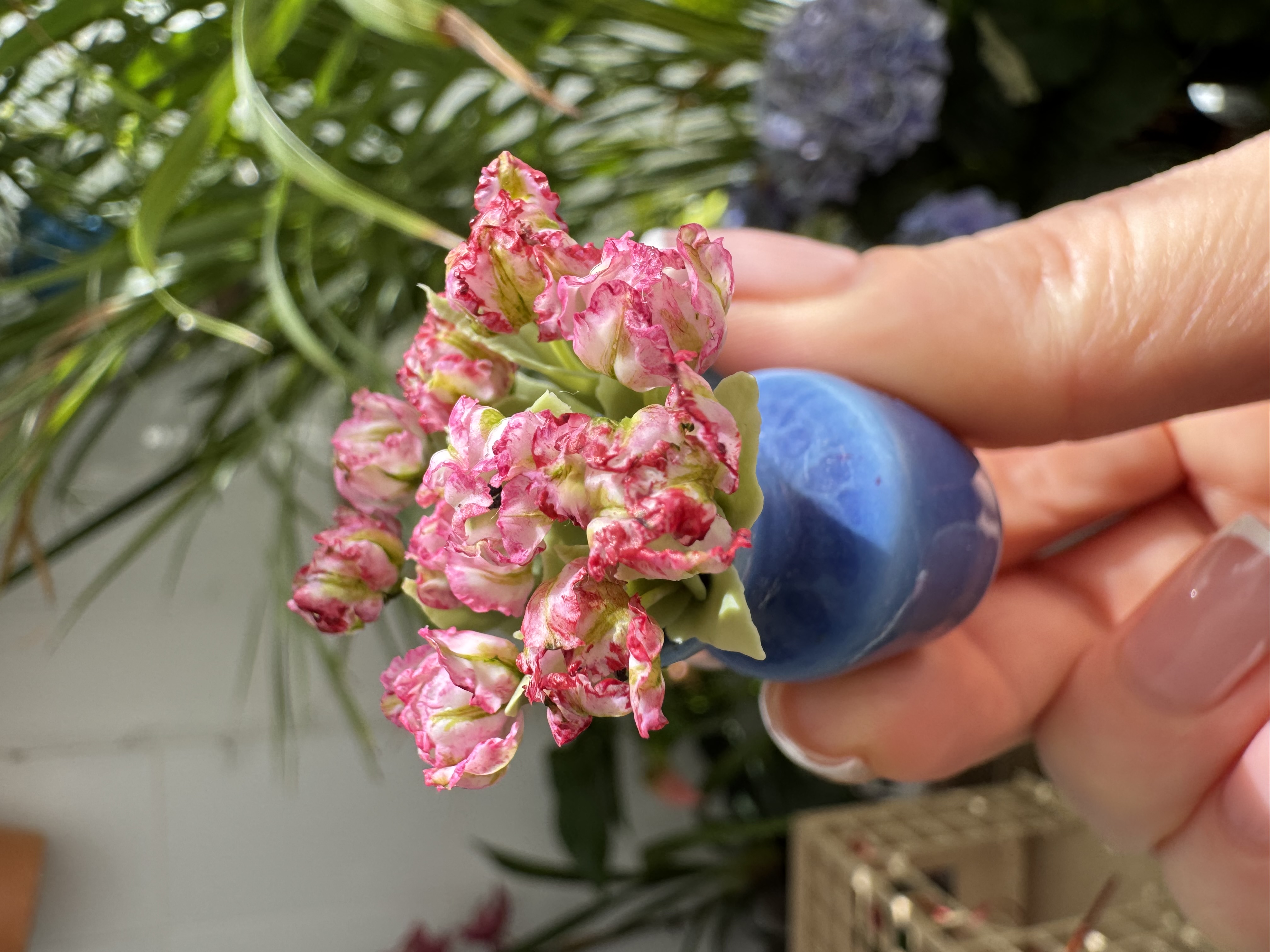 Dollhouse Parrot Tulip, Scale 1/12 - Made to order