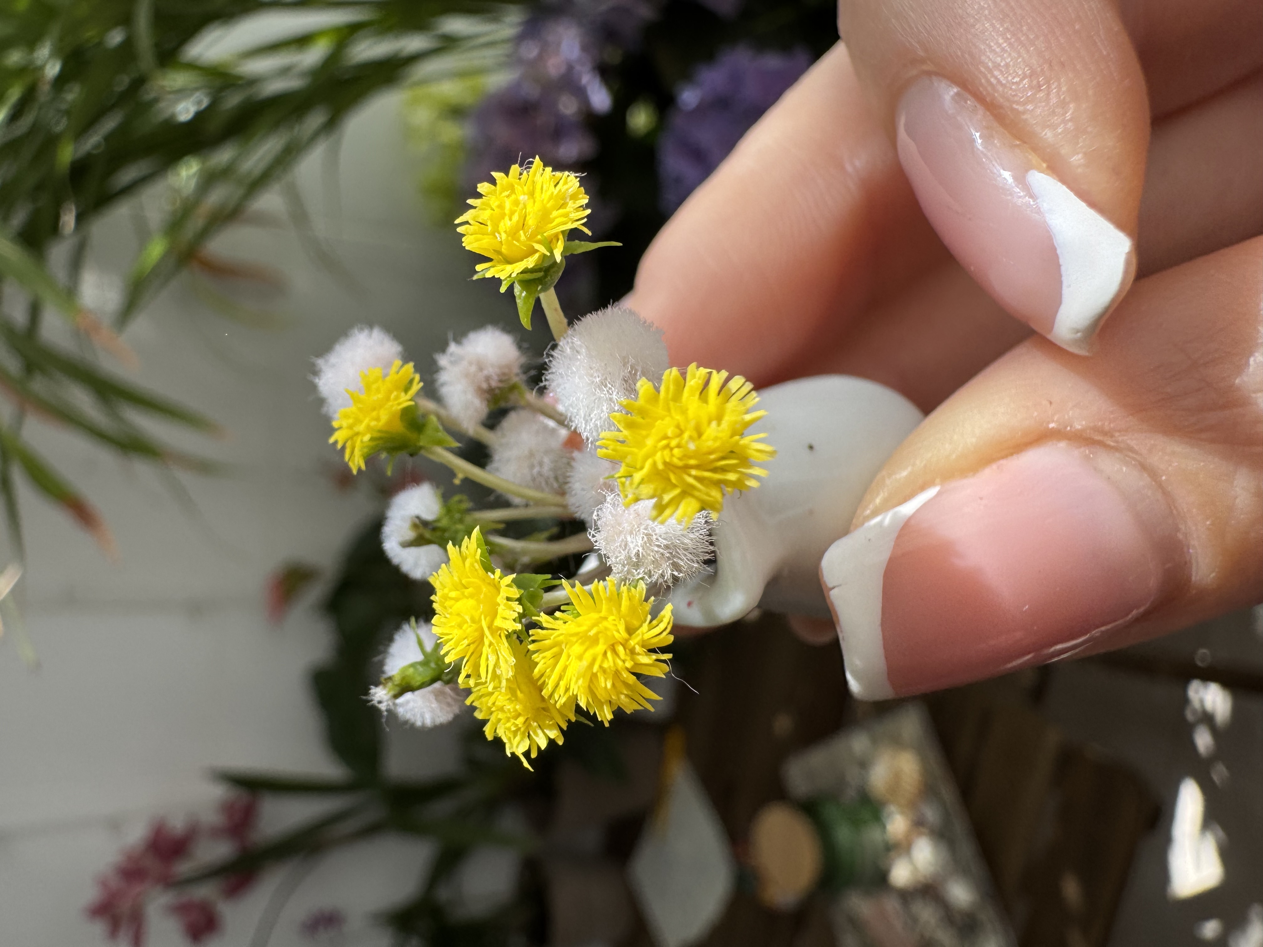 Dollhouse  Dandelion, Scale 1/12, TO ORDER