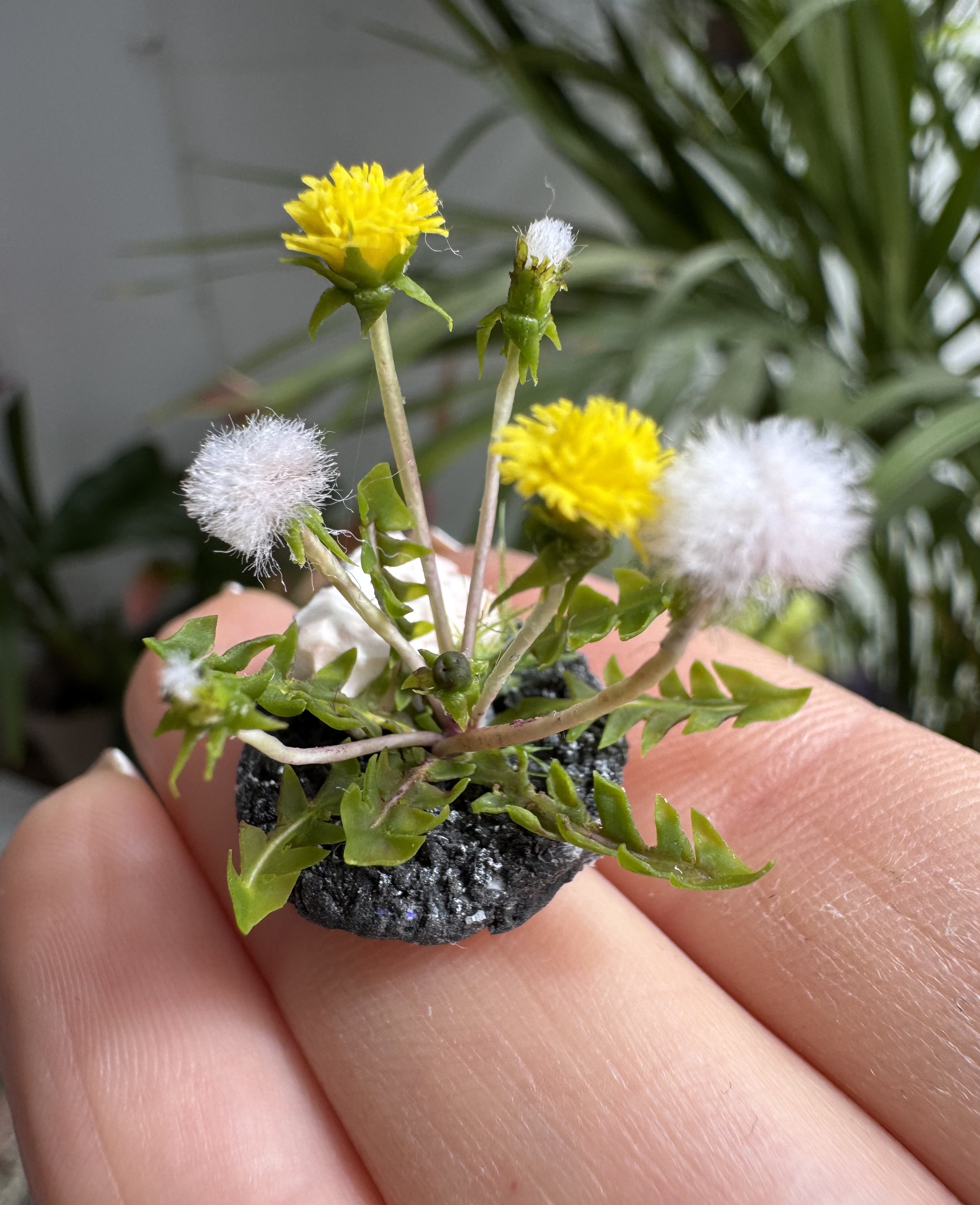 Dandelions for garden, Made to order