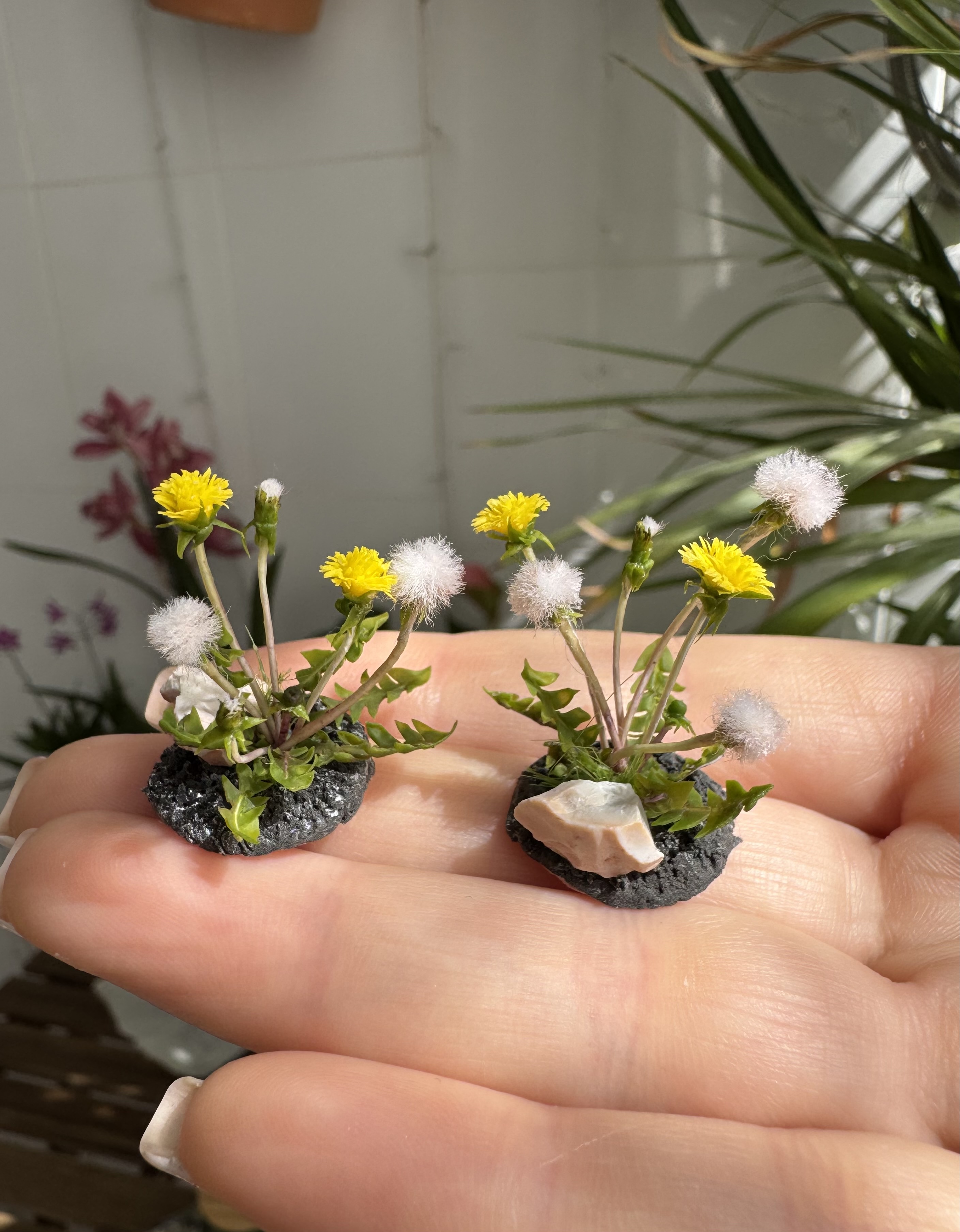 Dandelions for garden, Made to order