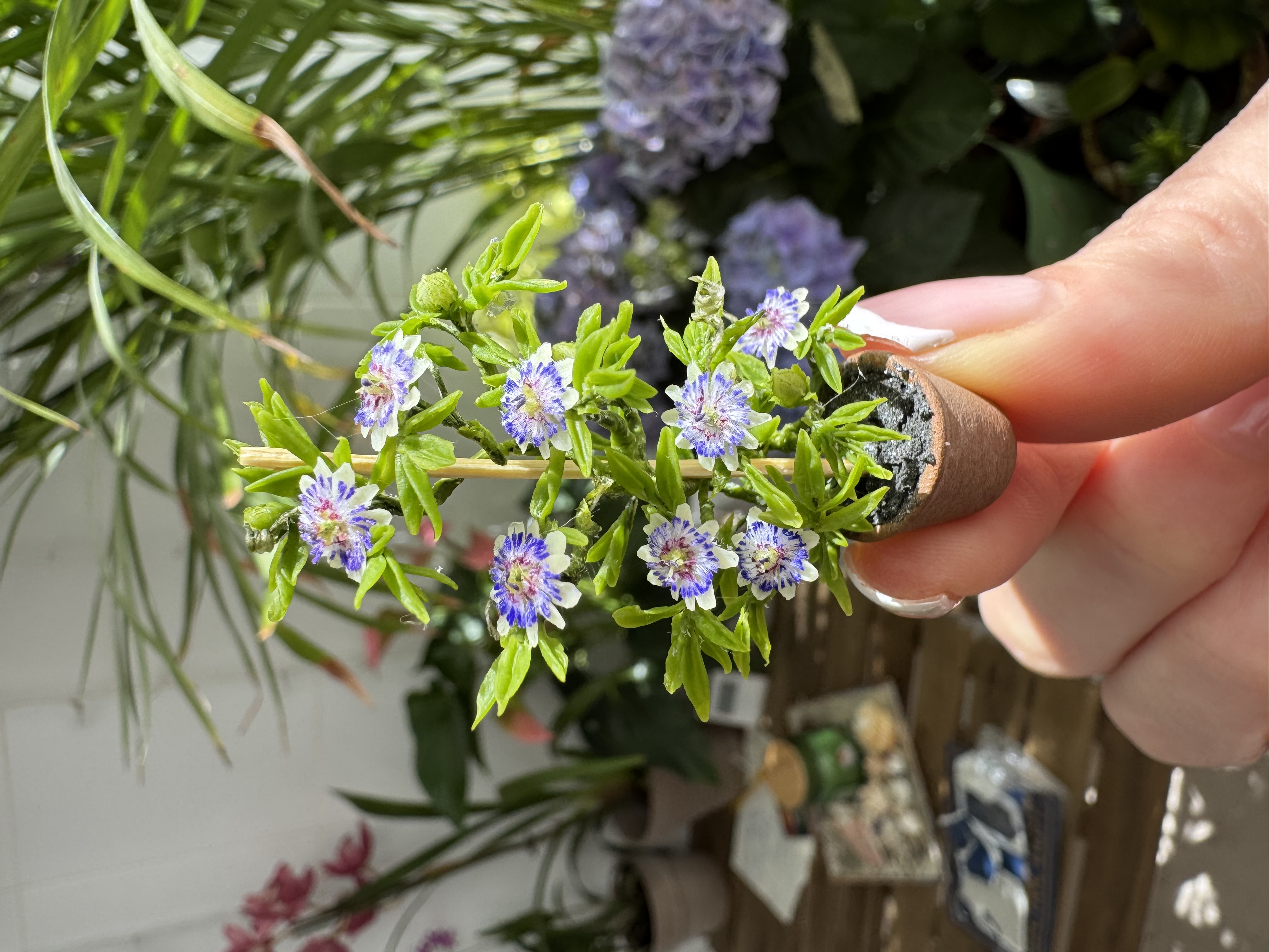 Passion fruit plant in pot, Scale 1/12 - TO ORDER