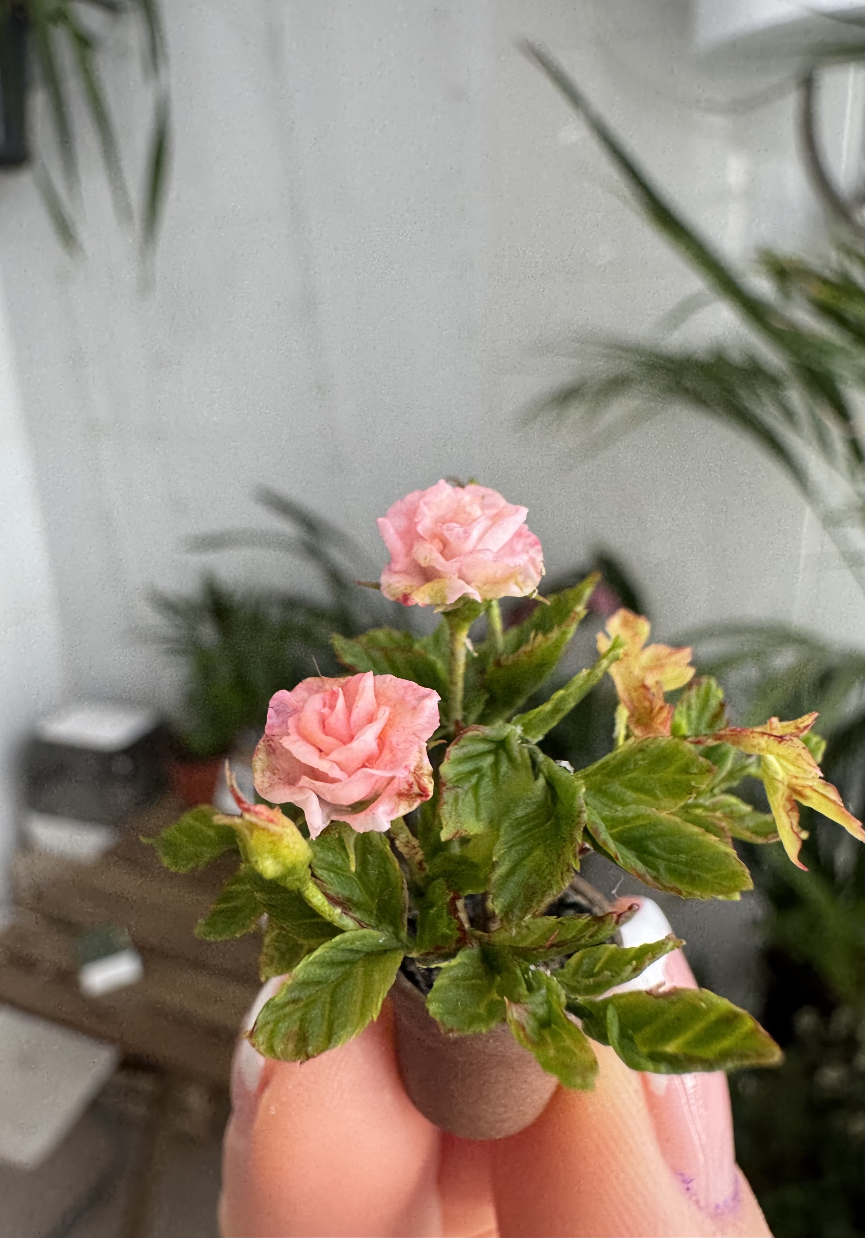 Dollhouse roses in pot, Scale 1/12 - TO ORDER