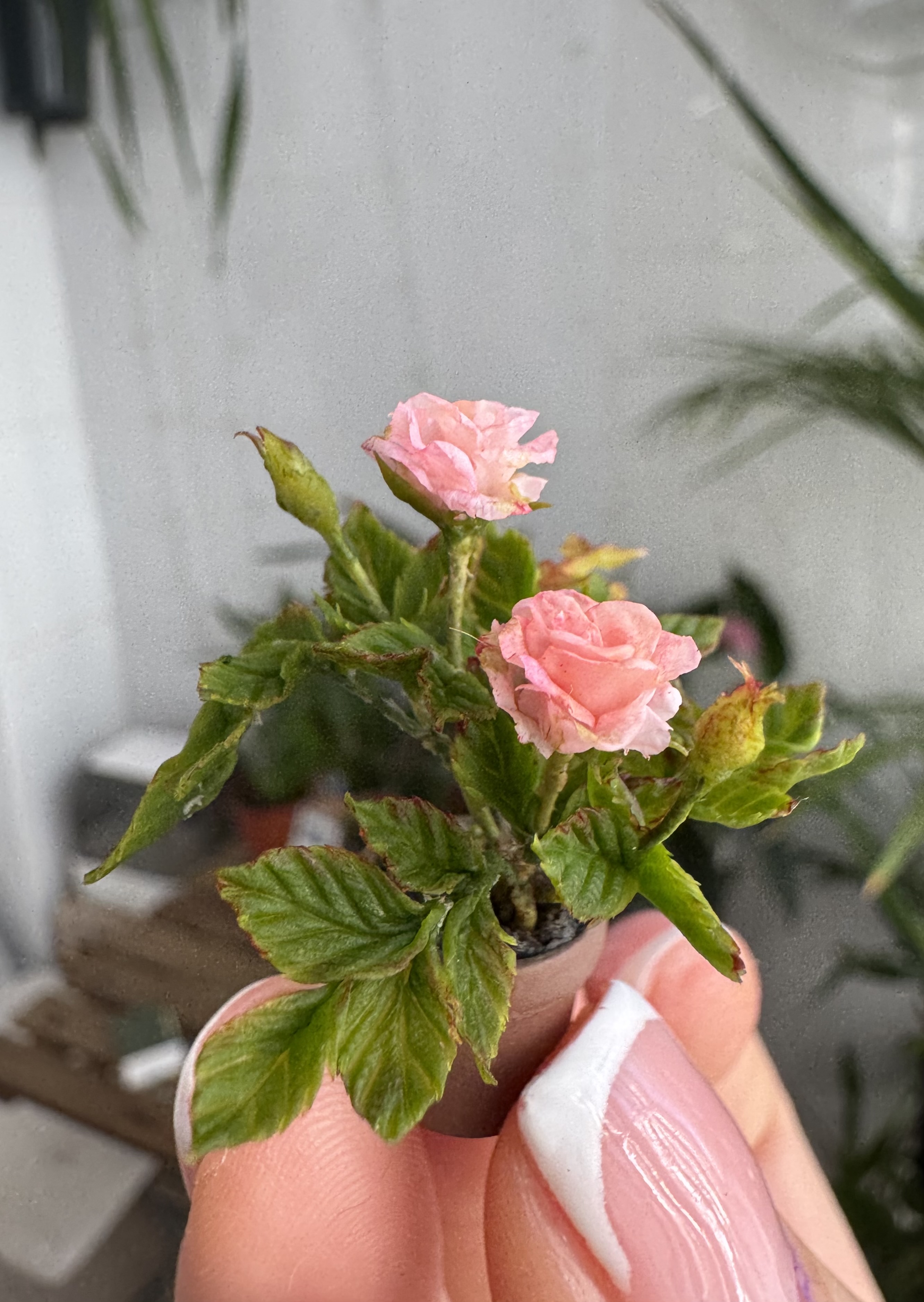 Dollhouse roses in pot, Scale 1/12 - TO ORDER
